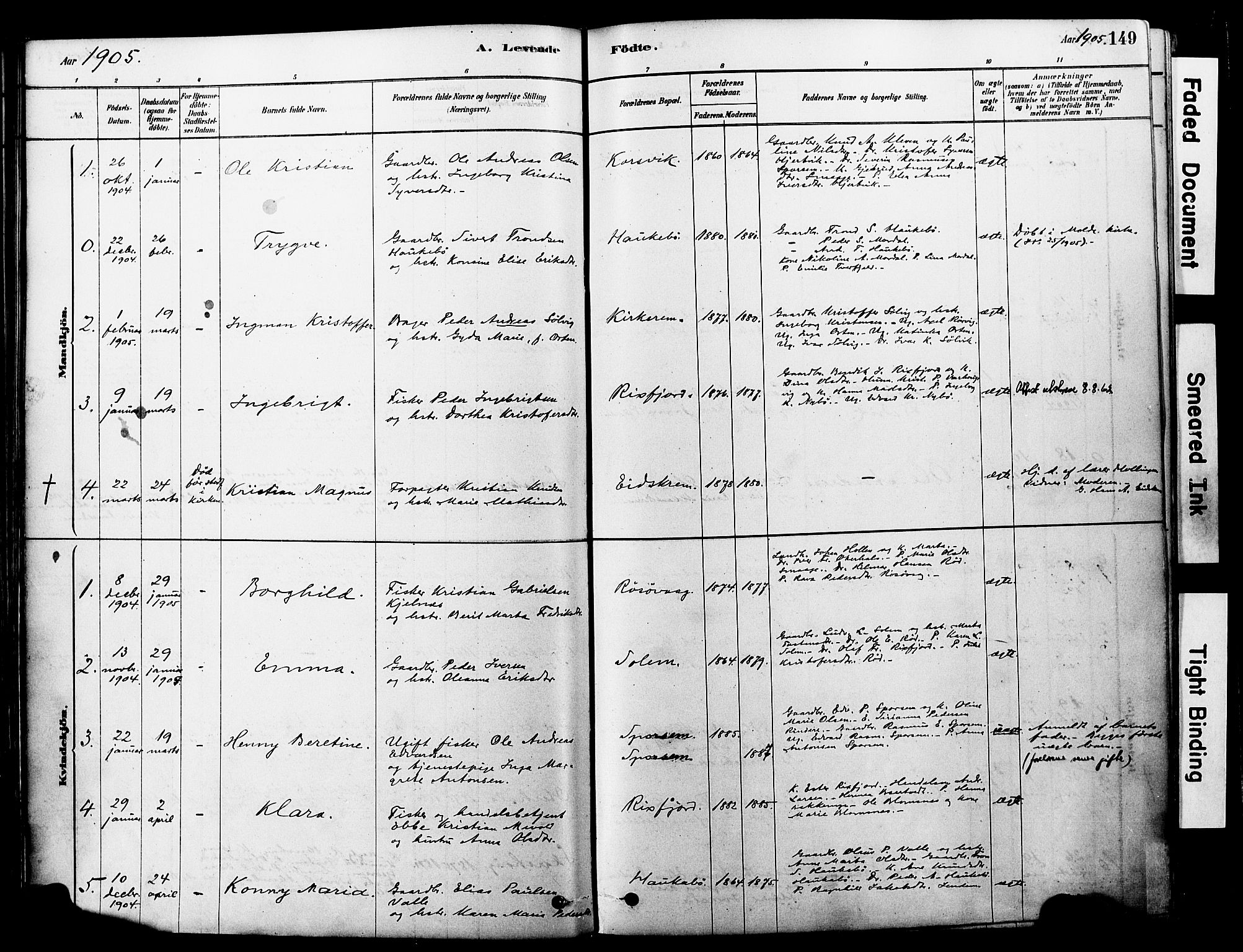 Ministerialprotokoller, klokkerbøker og fødselsregistre - Møre og Romsdal, SAT/A-1454/560/L0721: Ministerialbok nr. 560A05, 1878-1917, s. 149