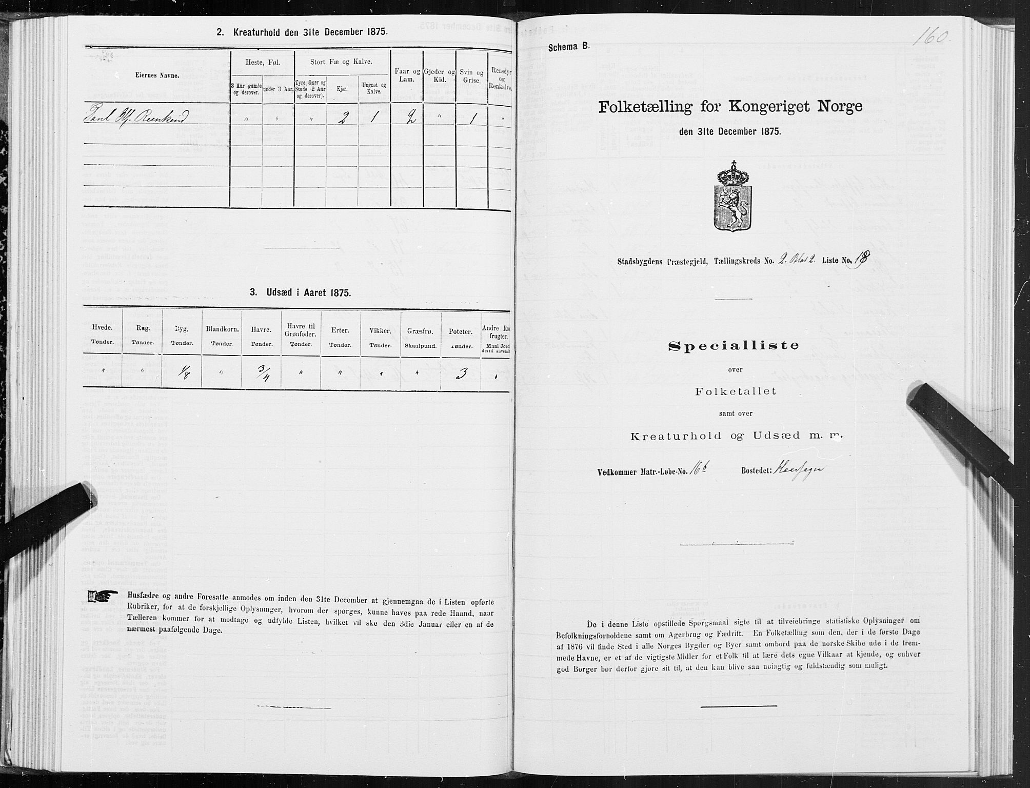 SAT, Folketelling 1875 for 1625P Stadsbygd prestegjeld, 1875, s. 1160