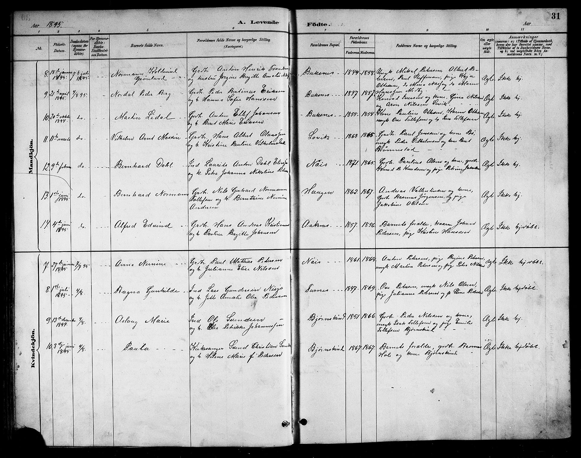 Ministerialprotokoller, klokkerbøker og fødselsregistre - Nordland, AV/SAT-A-1459/898/L1427: Klokkerbok nr. 898C02, 1887-1917, s. 31