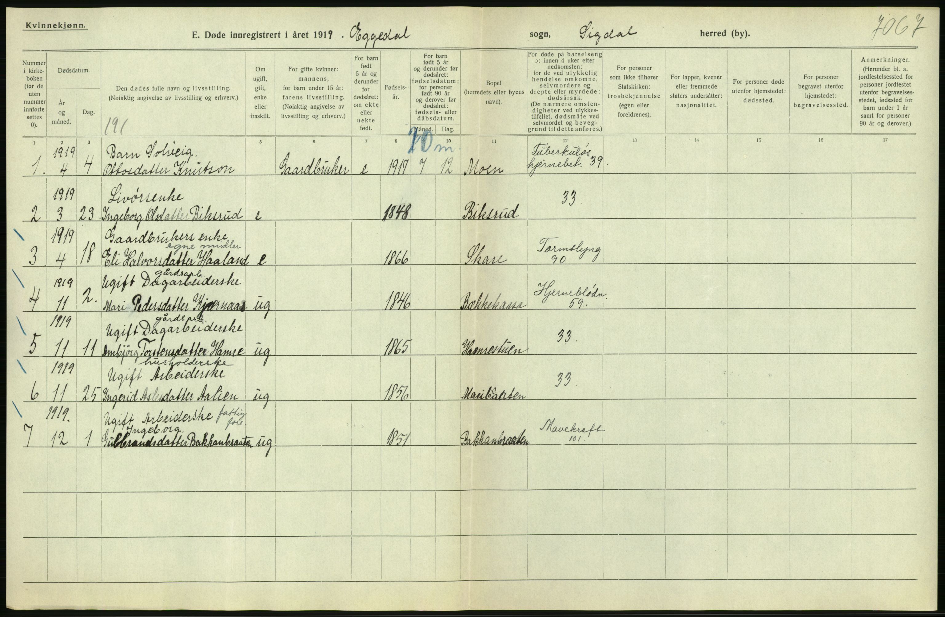 Statistisk sentralbyrå, Sosiodemografiske emner, Befolkning, AV/RA-S-2228/D/Df/Dfb/Dfbi/L0018: Buskerud fylke: Døde. Bygder og byer., 1919, s. 62