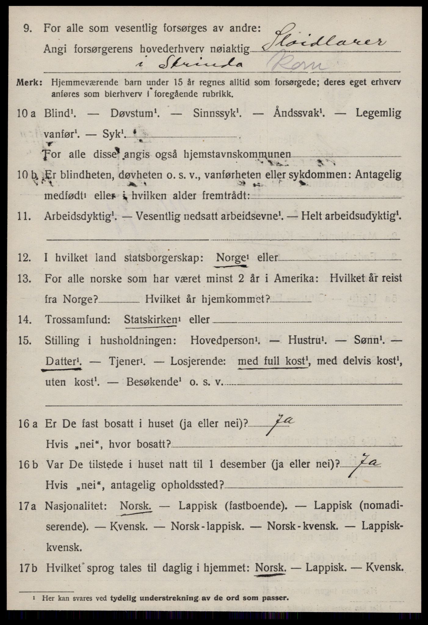 SAT, Folketelling 1920 for 1660 Strinda herred, 1920, s. 17075