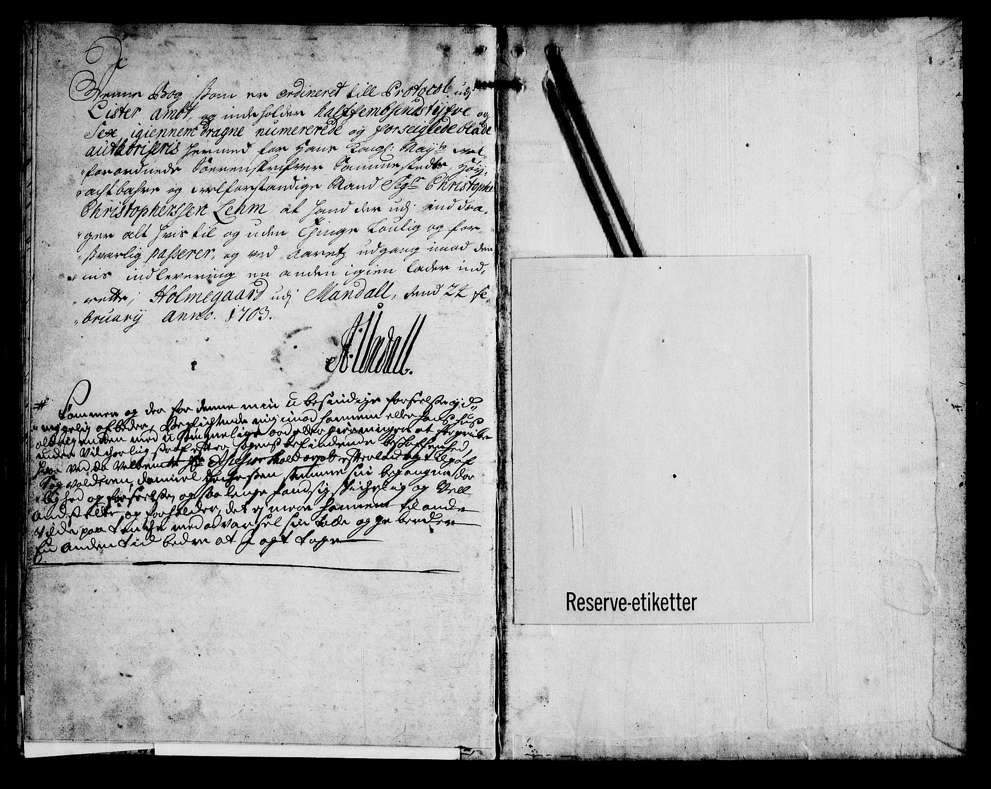 Lister sorenskriveri, AV/SAK-1221-0003/F/Fa/L0028: Tingbok nr 28, 1703, s. 96b-97a