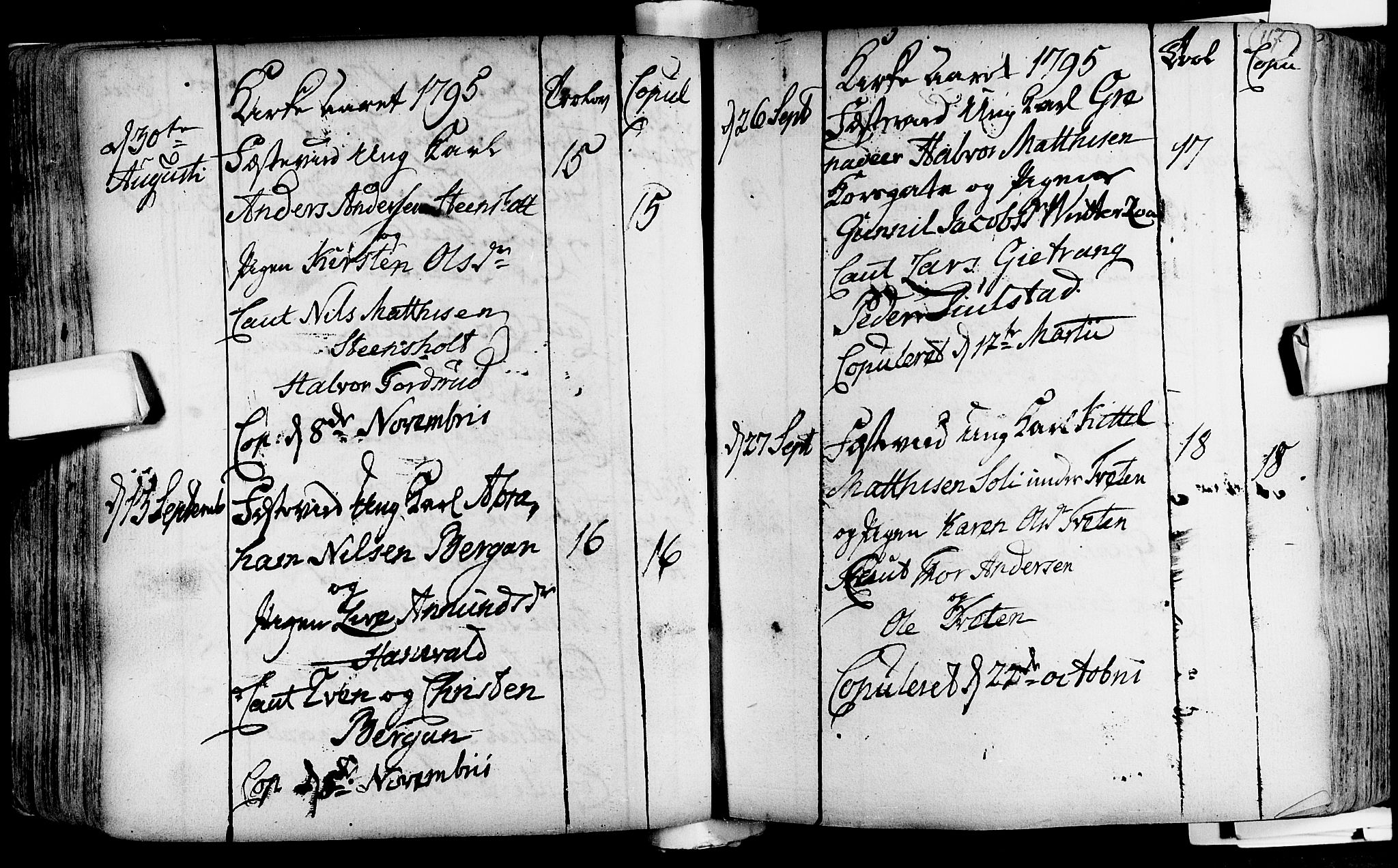 Lardal kirkebøker, AV/SAKO-A-350/F/Fa/L0004: Ministerialbok nr. i 4, 1733-1815, s. 117