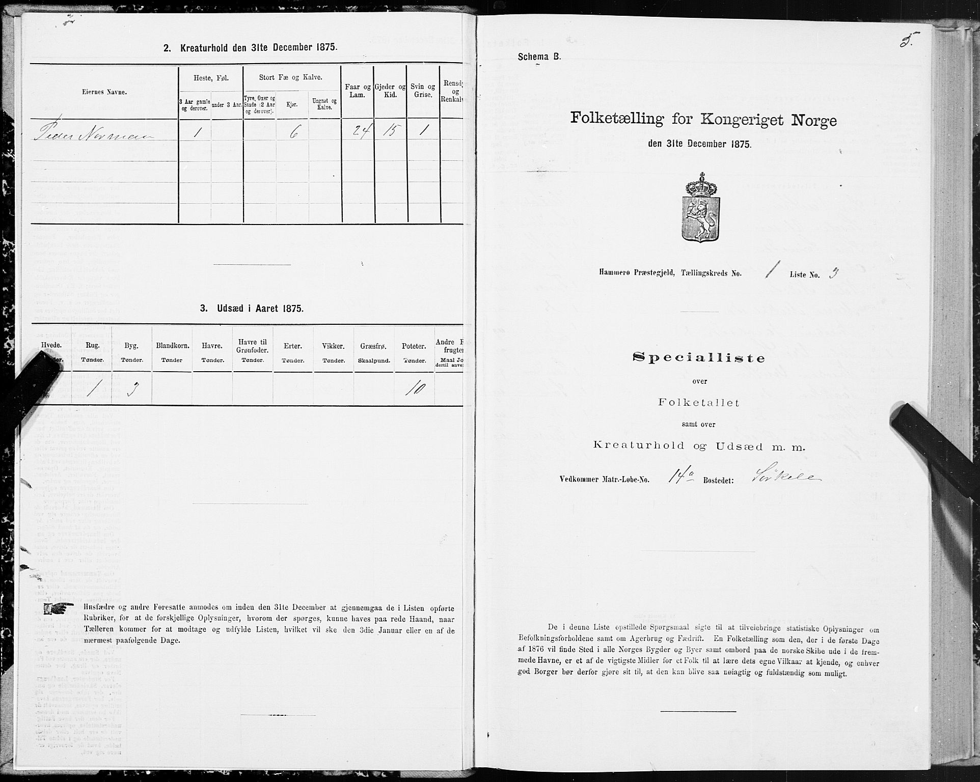 SAT, Folketelling 1875 for 1849P Hamarøy prestegjeld, 1875, s. 1005