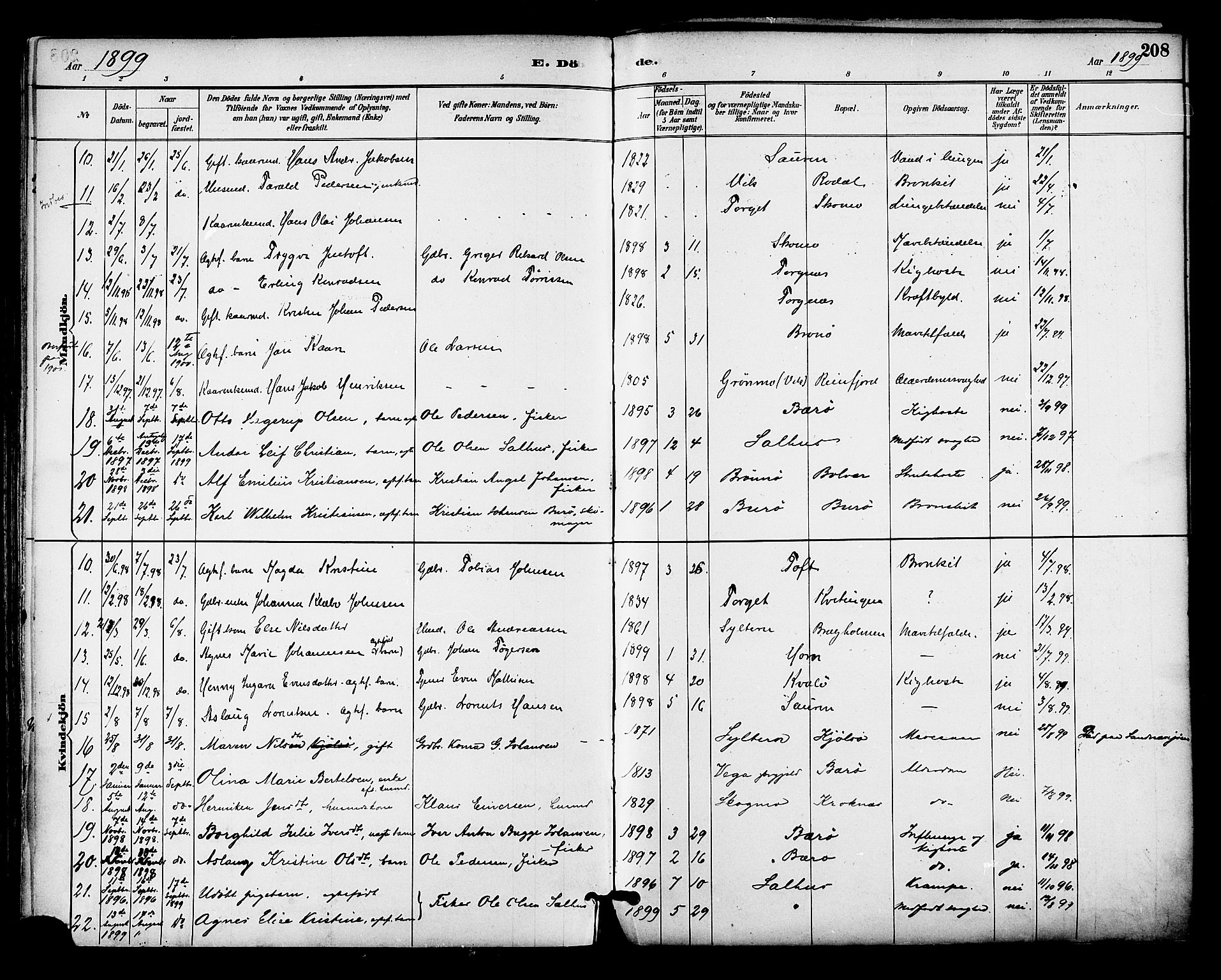 Ministerialprotokoller, klokkerbøker og fødselsregistre - Nordland, SAT/A-1459/813/L0200: Ministerialbok nr. 813A10, 1886-1900, s. 208