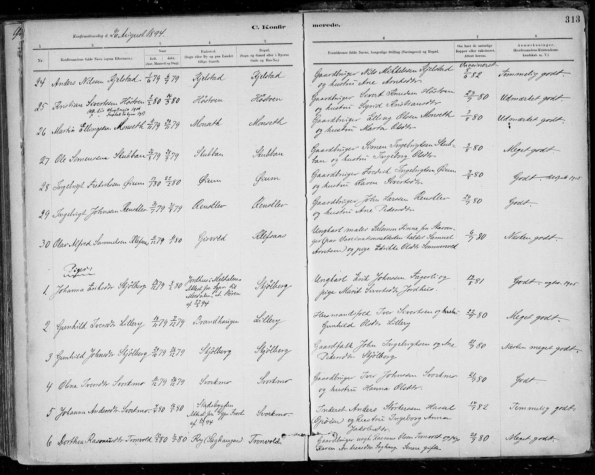 Ministerialprotokoller, klokkerbøker og fødselsregistre - Sør-Trøndelag, AV/SAT-A-1456/668/L0809: Ministerialbok nr. 668A09, 1881-1895, s. 313