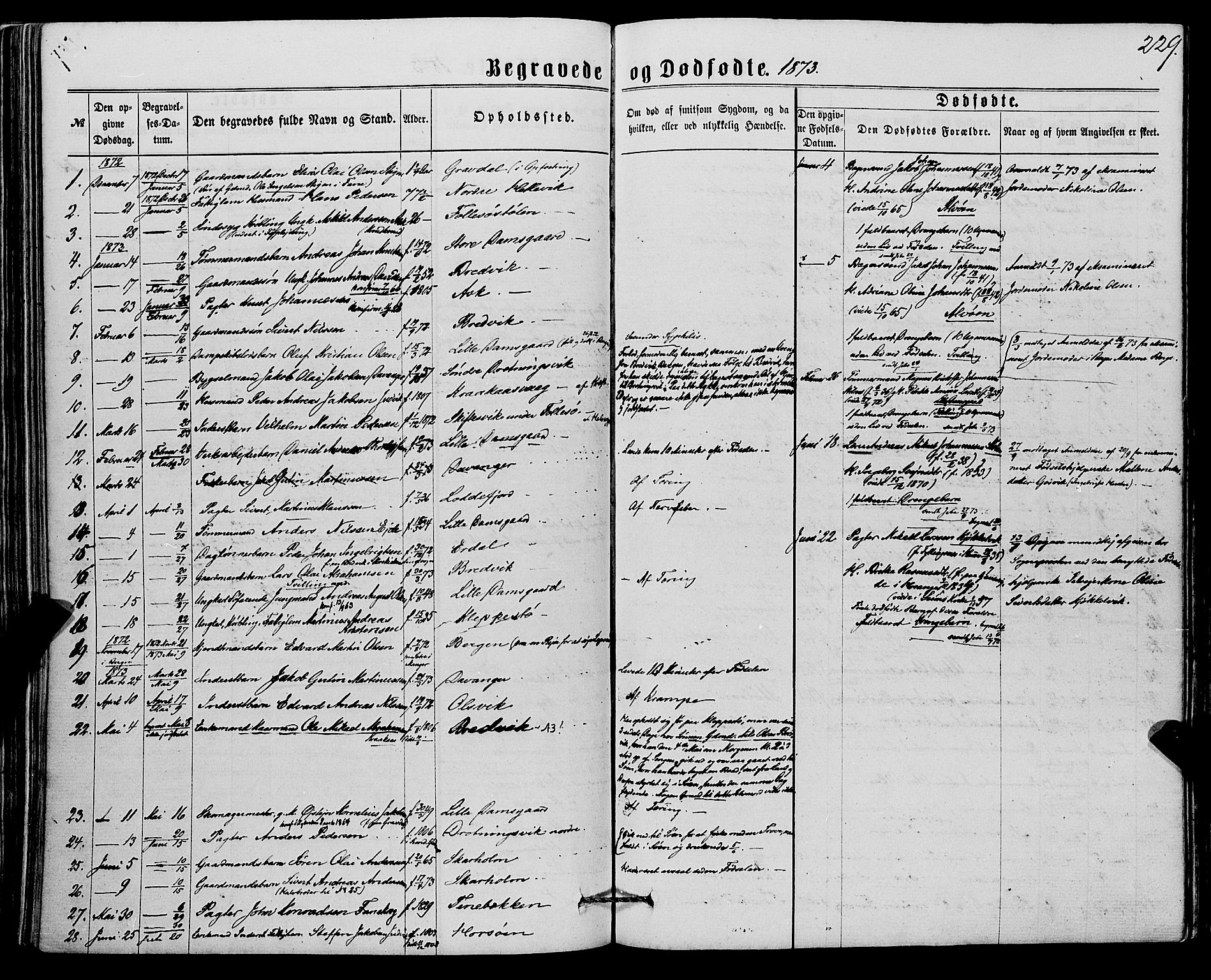 Askøy Sokneprestembete, AV/SAB-A-74101/H/Ha/Haa/Haaa/L0009: Ministerialbok nr. A 9, 1863-1877, s. 229