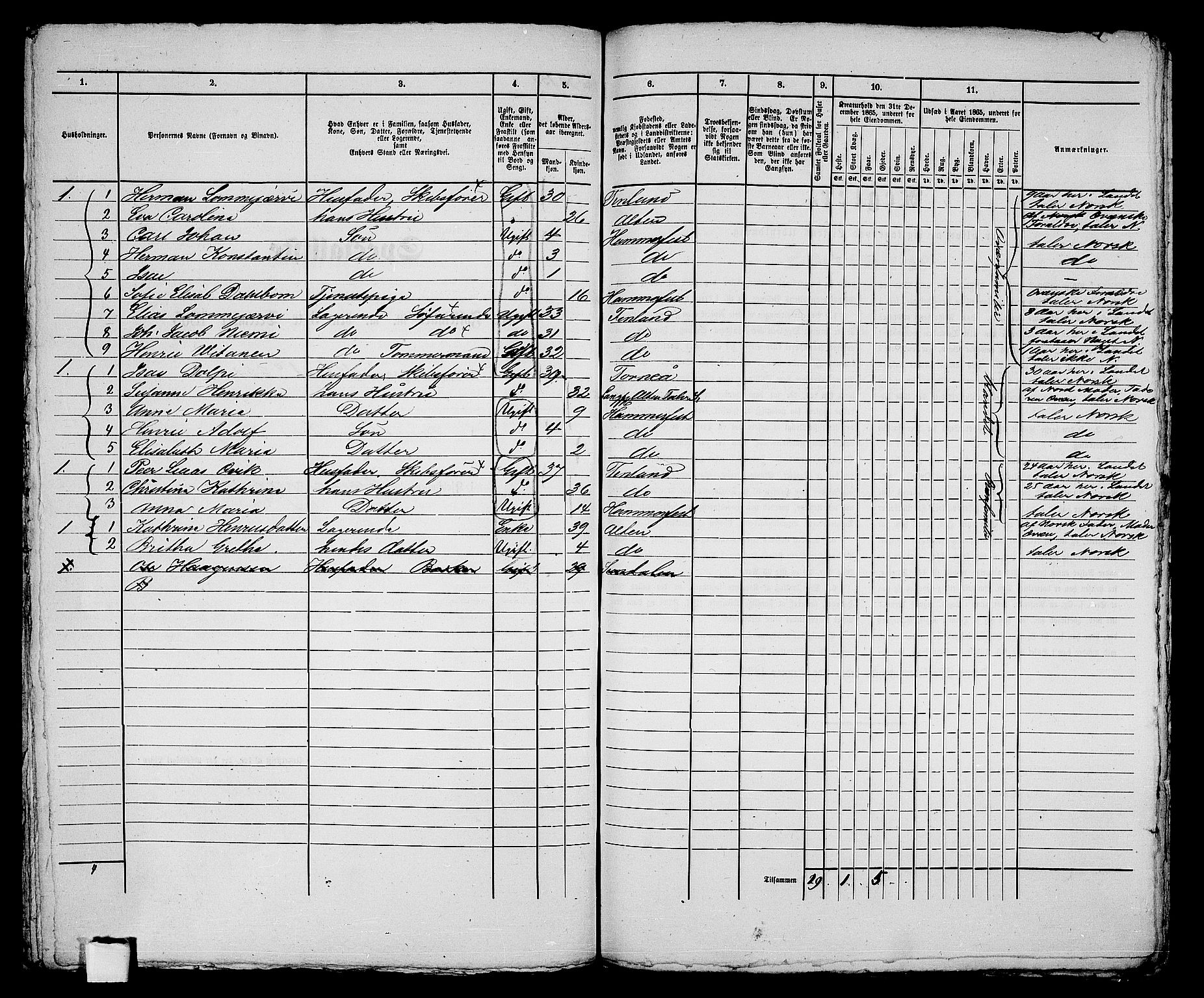 RA, Folketelling 1865 for 2001B Hammerfest prestegjeld, Hammerfest kjøpstad, 1865, s. 317