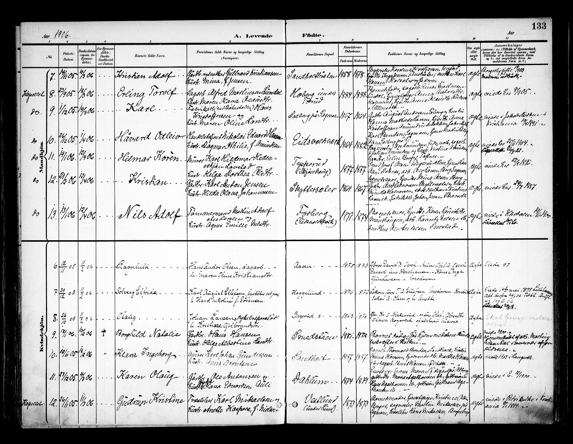 Eidsvoll prestekontor Kirkebøker, AV/SAO-A-10888/F/Fa/L0006: Ministerialbok nr. I 6, 1900-1907, s. 133