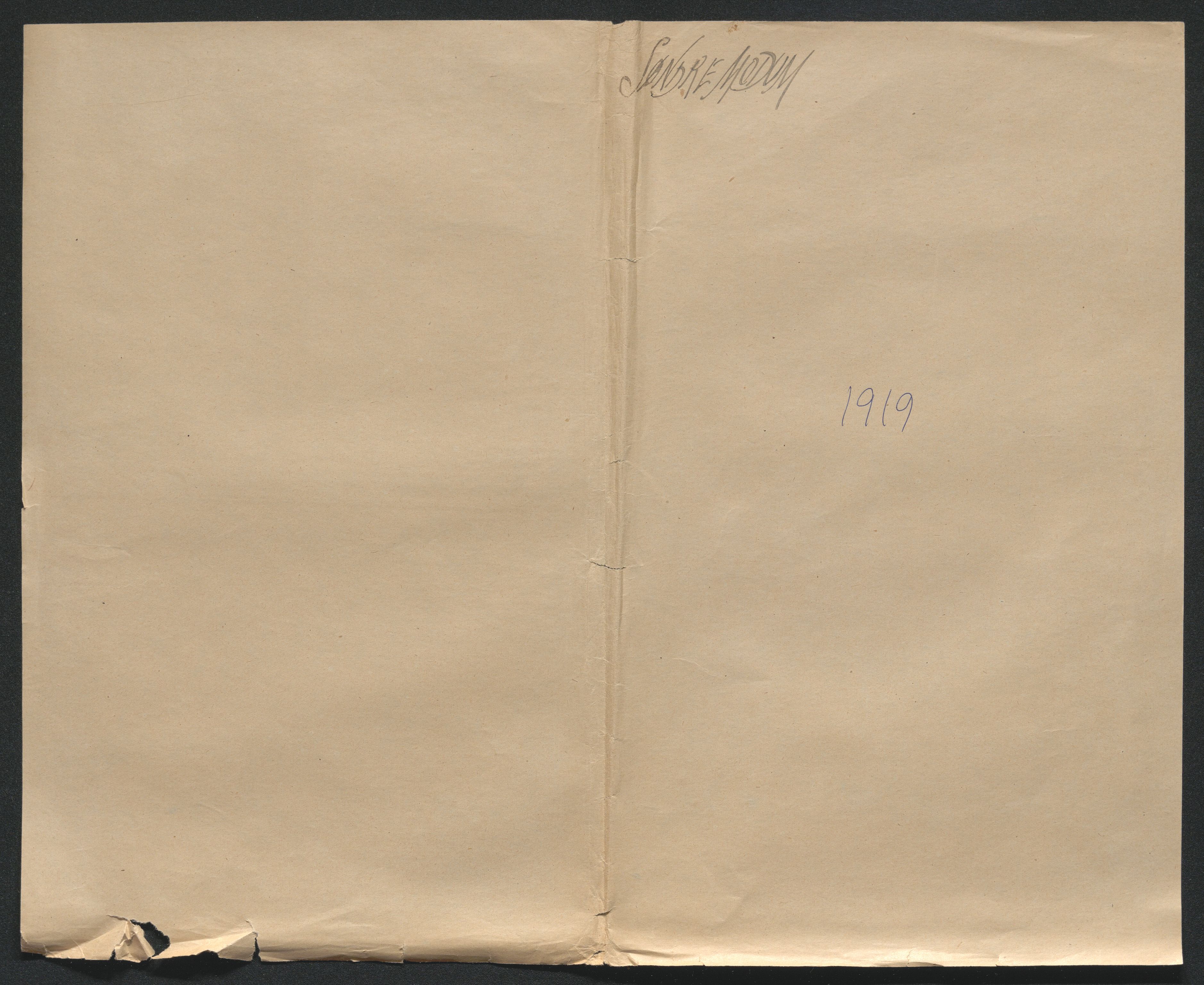 Eiker, Modum og Sigdal sorenskriveri, SAKO/A-123/H/Ha/Hab/L0039: Dødsfallsmeldinger, 1918-1919, s. 1206