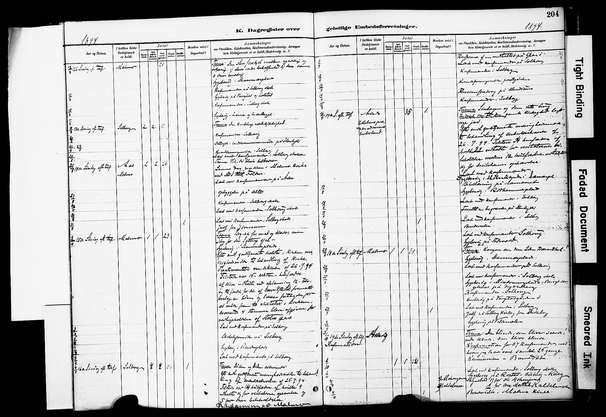 Ministerialprotokoller, klokkerbøker og fødselsregistre - Nord-Trøndelag, AV/SAT-A-1458/741/L0396: Ministerialbok nr. 741A10, 1889-1901, s. 204