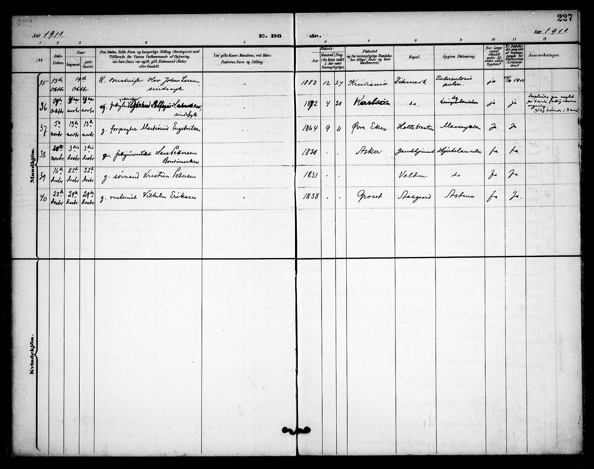 Asker prestekontor Kirkebøker, AV/SAO-A-10256a/F/Fa/L0015: Ministerialbok nr. I 15, 1896-1915, s. 227