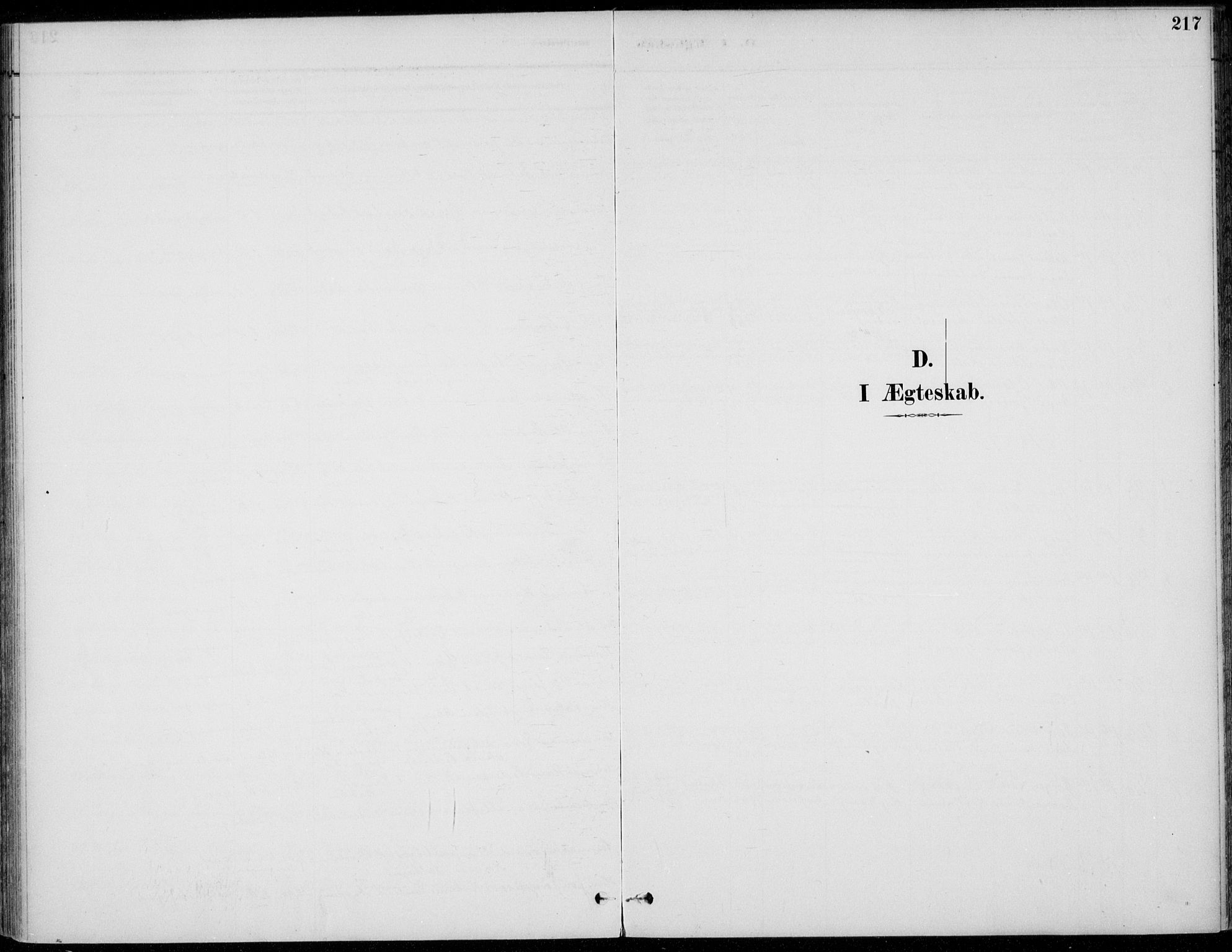 Alvdal prestekontor, SAH/PREST-060/H/Ha/Haa/L0003: Ministerialbok nr. 3, 1886-1912, s. 217