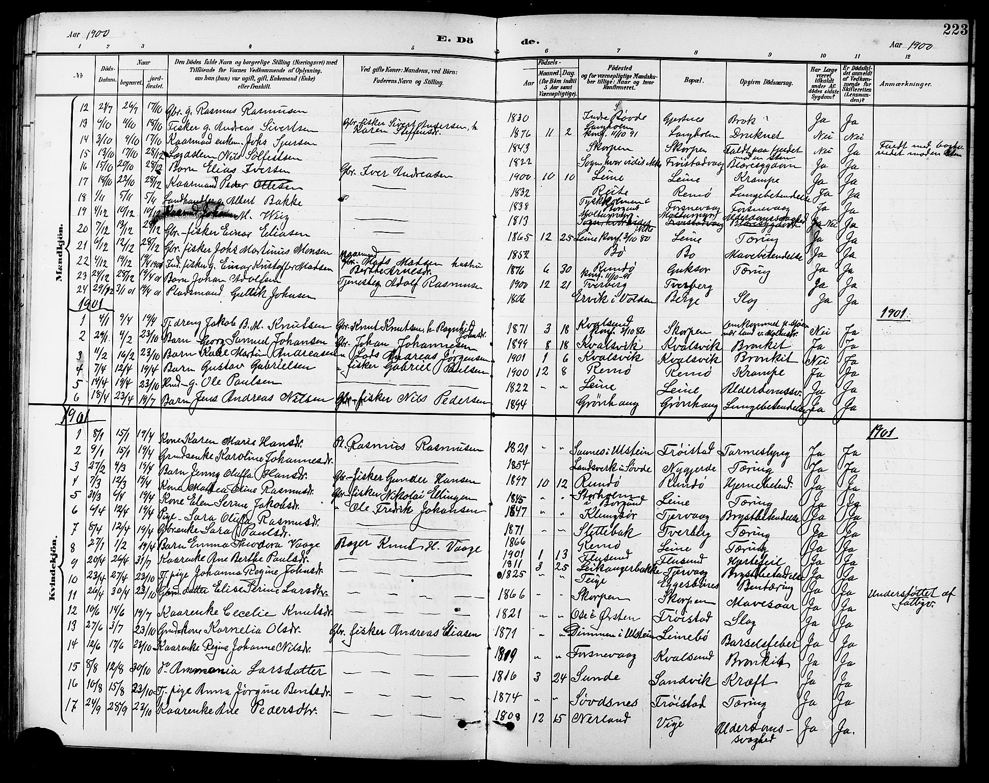 Ministerialprotokoller, klokkerbøker og fødselsregistre - Møre og Romsdal, AV/SAT-A-1454/507/L0082: Klokkerbok nr. 507C05, 1896-1914, s. 223