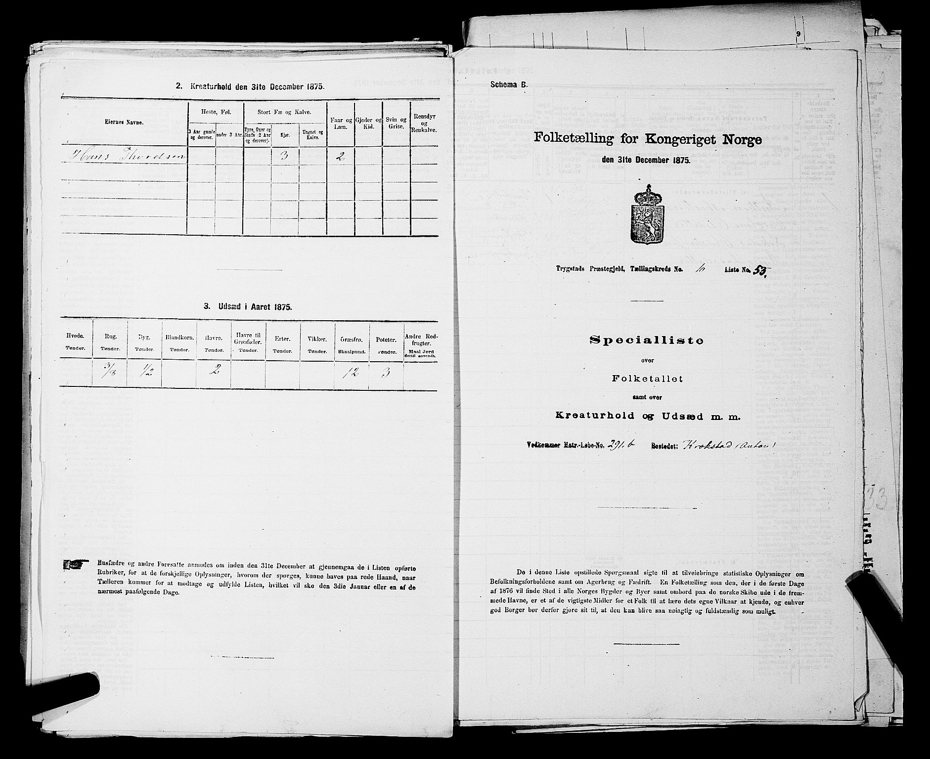 RA, Folketelling 1875 for 0122P Trøgstad prestegjeld, 1875, s. 1199