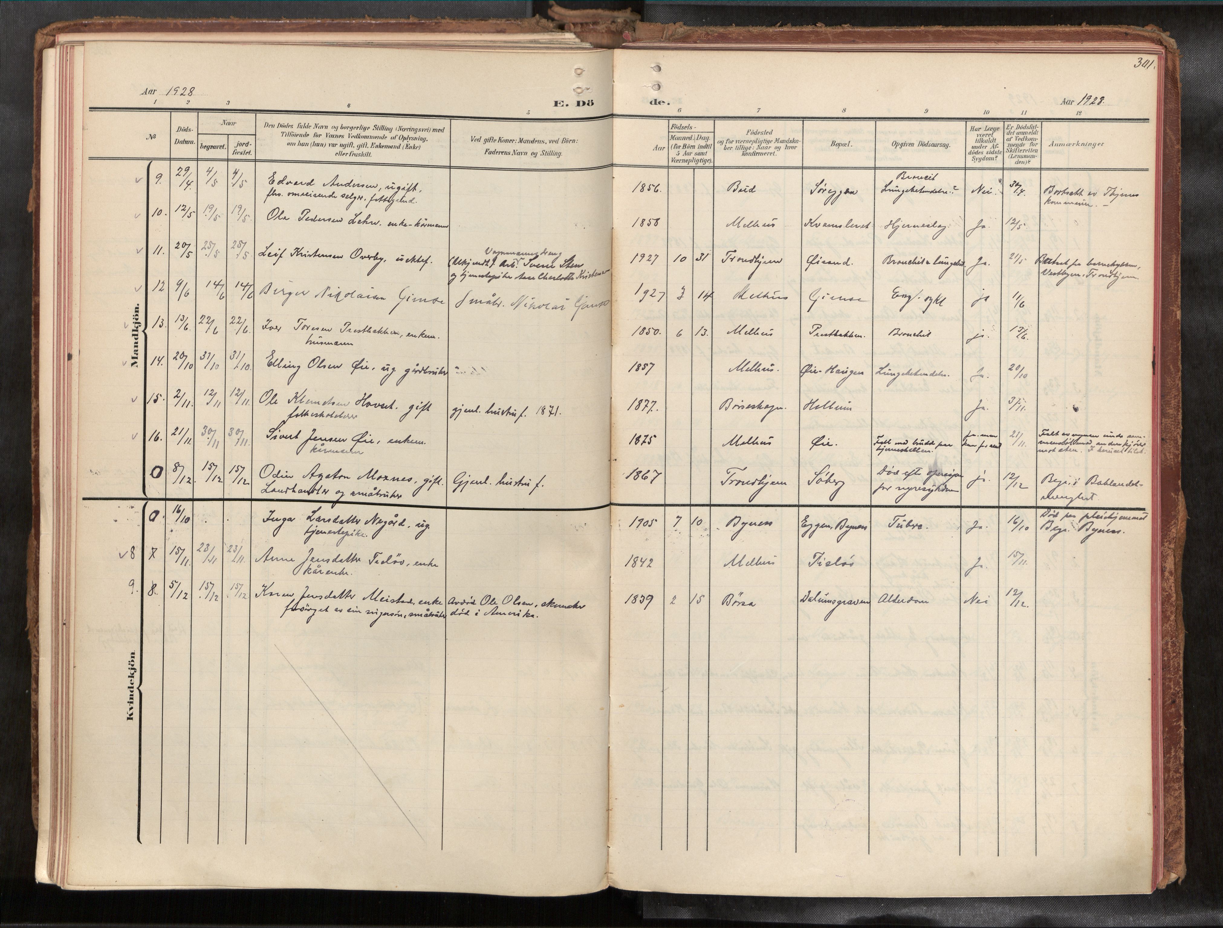 Ministerialprotokoller, klokkerbøker og fødselsregistre - Sør-Trøndelag, AV/SAT-A-1456/691/L1085b: Ministerialbok nr. 691A18, 1908-1930, s. 301