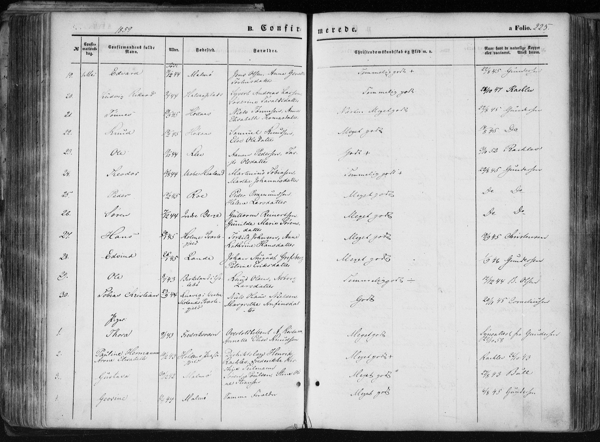 Mandal sokneprestkontor, SAK/1111-0030/F/Fa/Faa/L0014: Ministerialbok nr. A 14, 1859-1872, s. 225