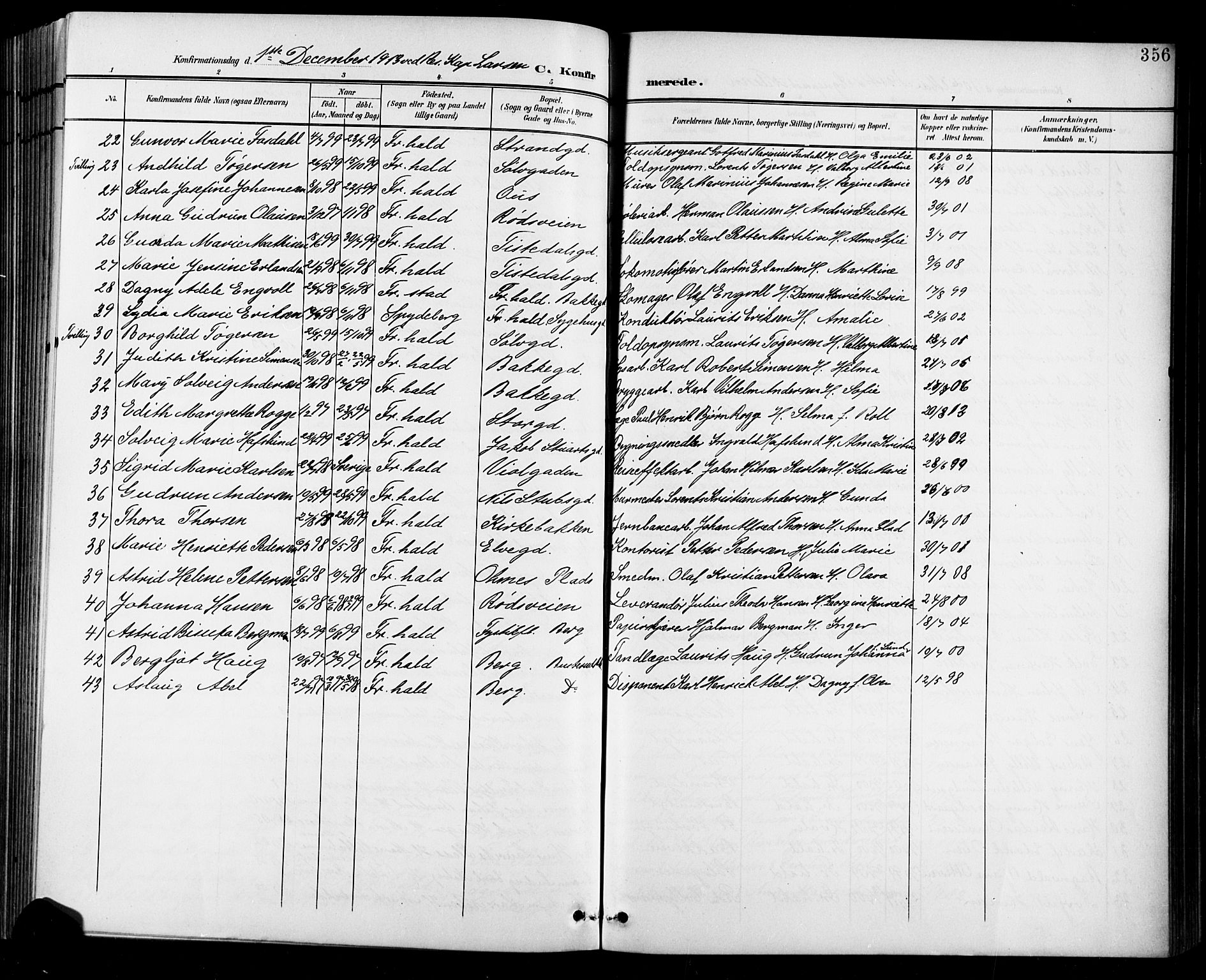 Halden prestekontor Kirkebøker, AV/SAO-A-10909/G/Ga/L0010: Klokkerbok nr. 10, 1900-1923, s. 356