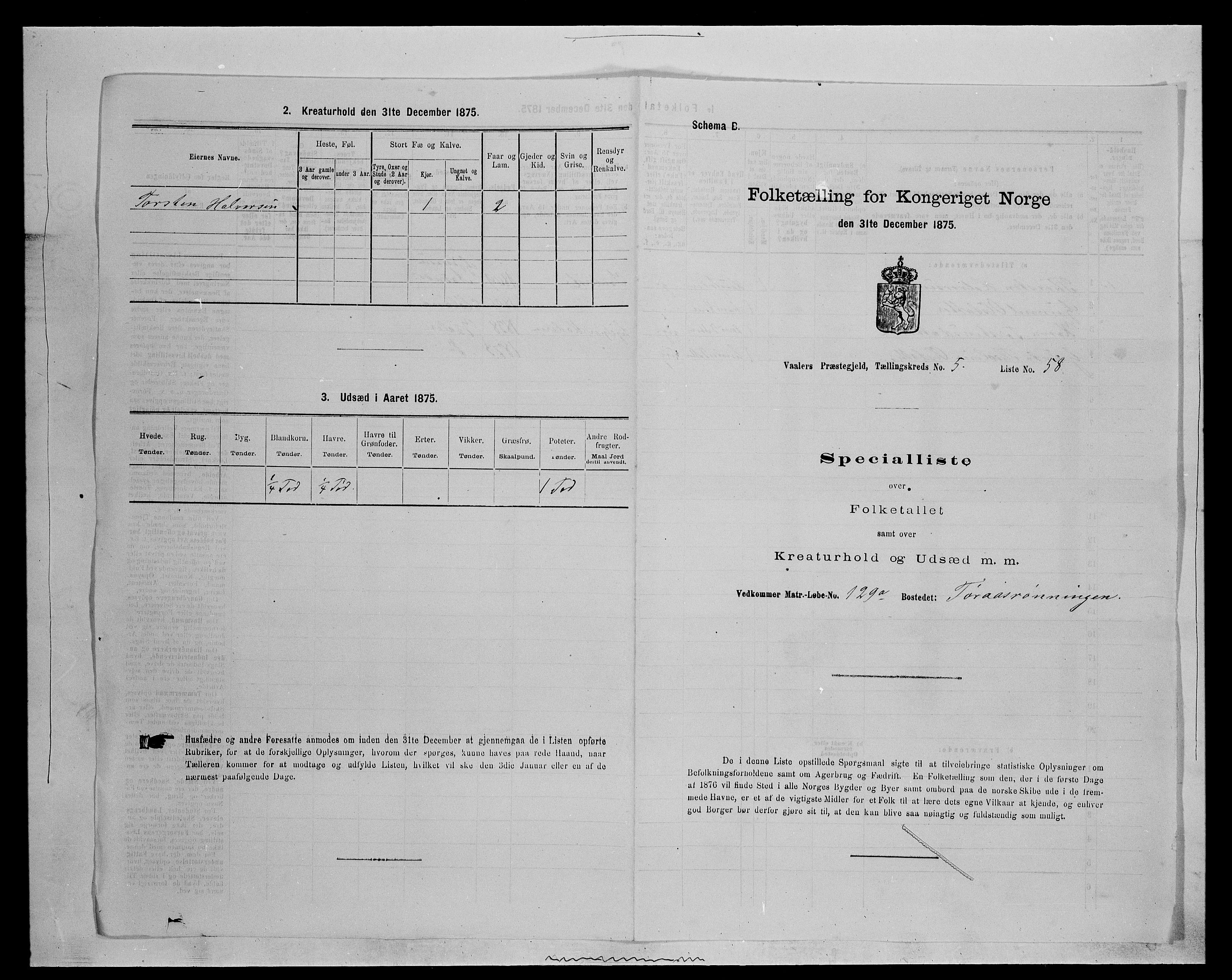 SAH, Folketelling 1875 for 0426P Våler prestegjeld (Hedmark), 1875, s. 702