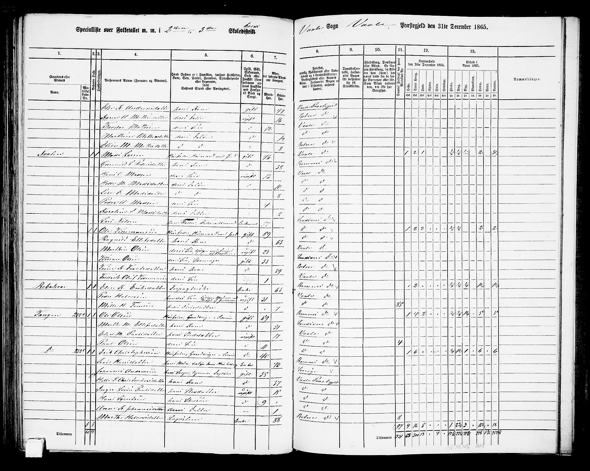 RA, Folketelling 1865 for 0716P Våle prestegjeld, 1865, s. 80