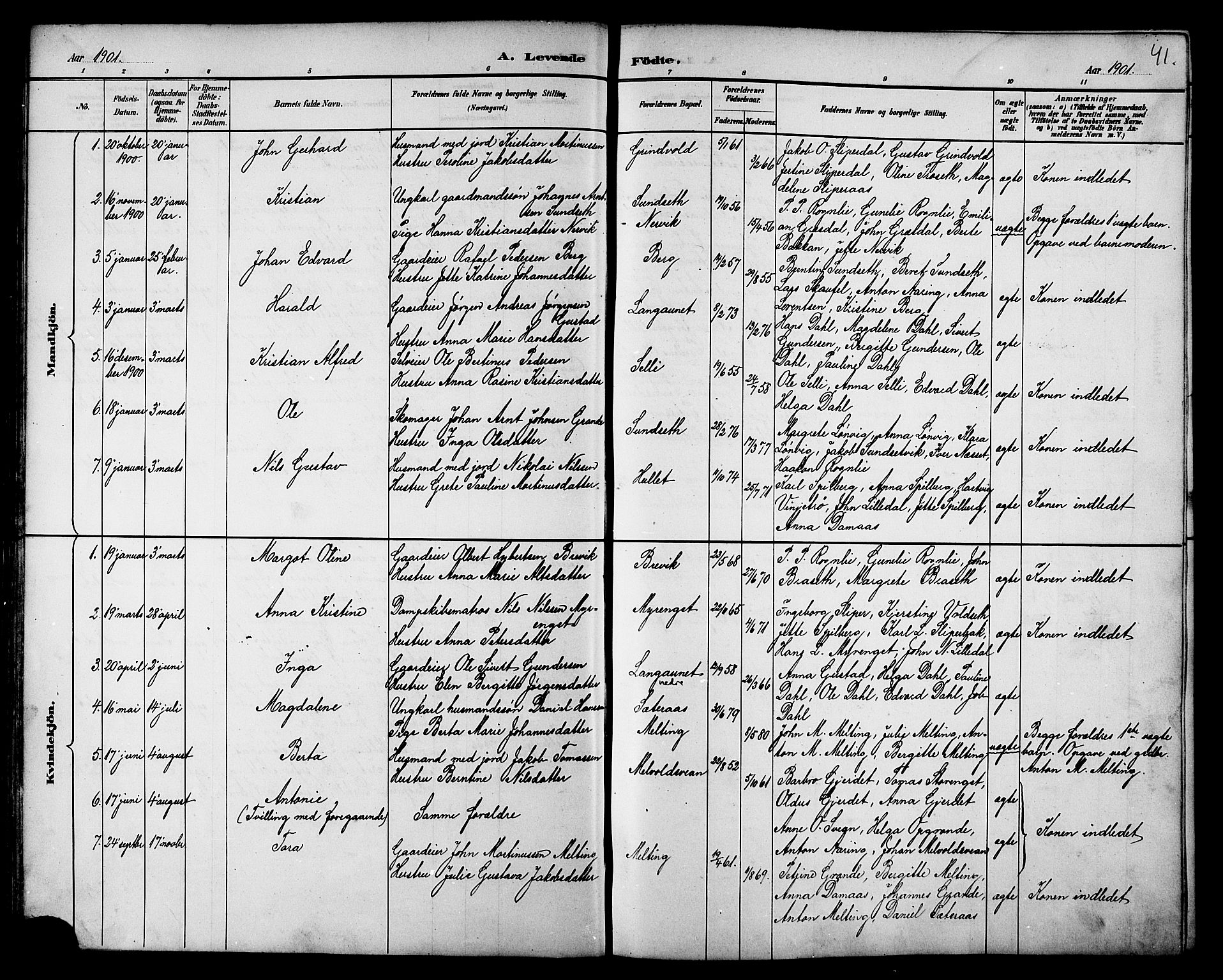 Ministerialprotokoller, klokkerbøker og fødselsregistre - Nord-Trøndelag, AV/SAT-A-1458/733/L0327: Klokkerbok nr. 733C02, 1888-1918, s. 41