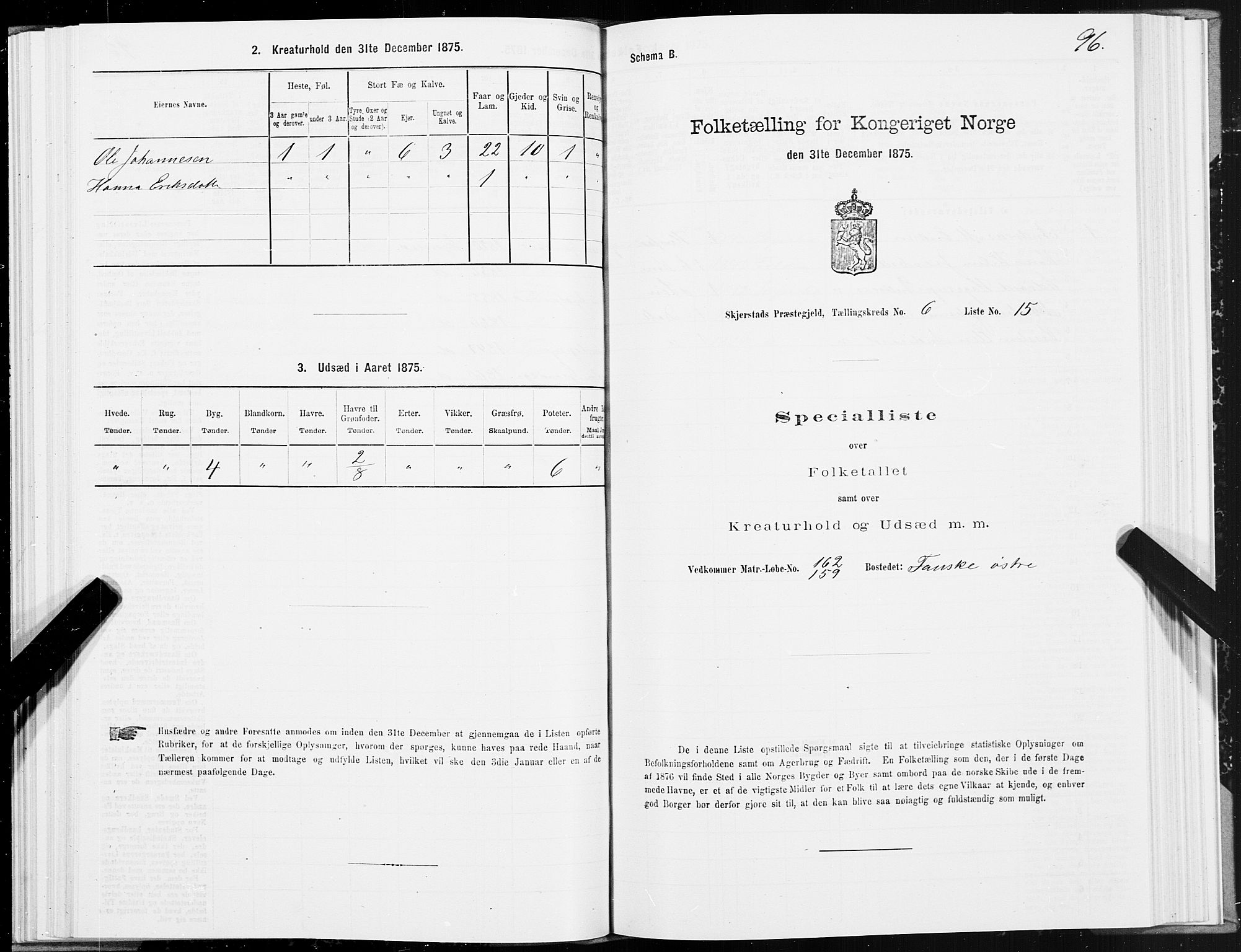 SAT, Folketelling 1875 for 1842P Skjerstad prestegjeld, 1875, s. 3096