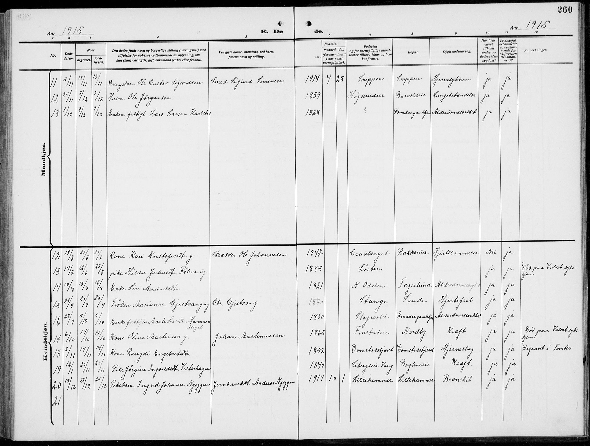 Romedal prestekontor, AV/SAH-PREST-004/L/L0014: Klokkerbok nr. 14, 1915-1939, s. 260