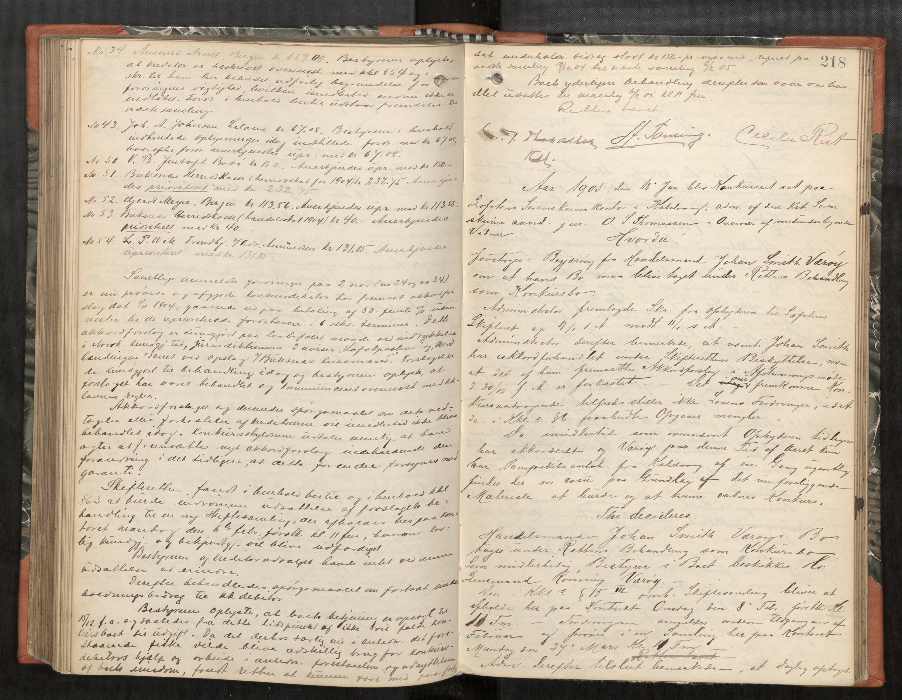 Lofoten sorenskriveri, AV/SAT-A-0017/1/3/3B/L0005: Skifteforhandlings-protokoll, 1901-1905, s. 218