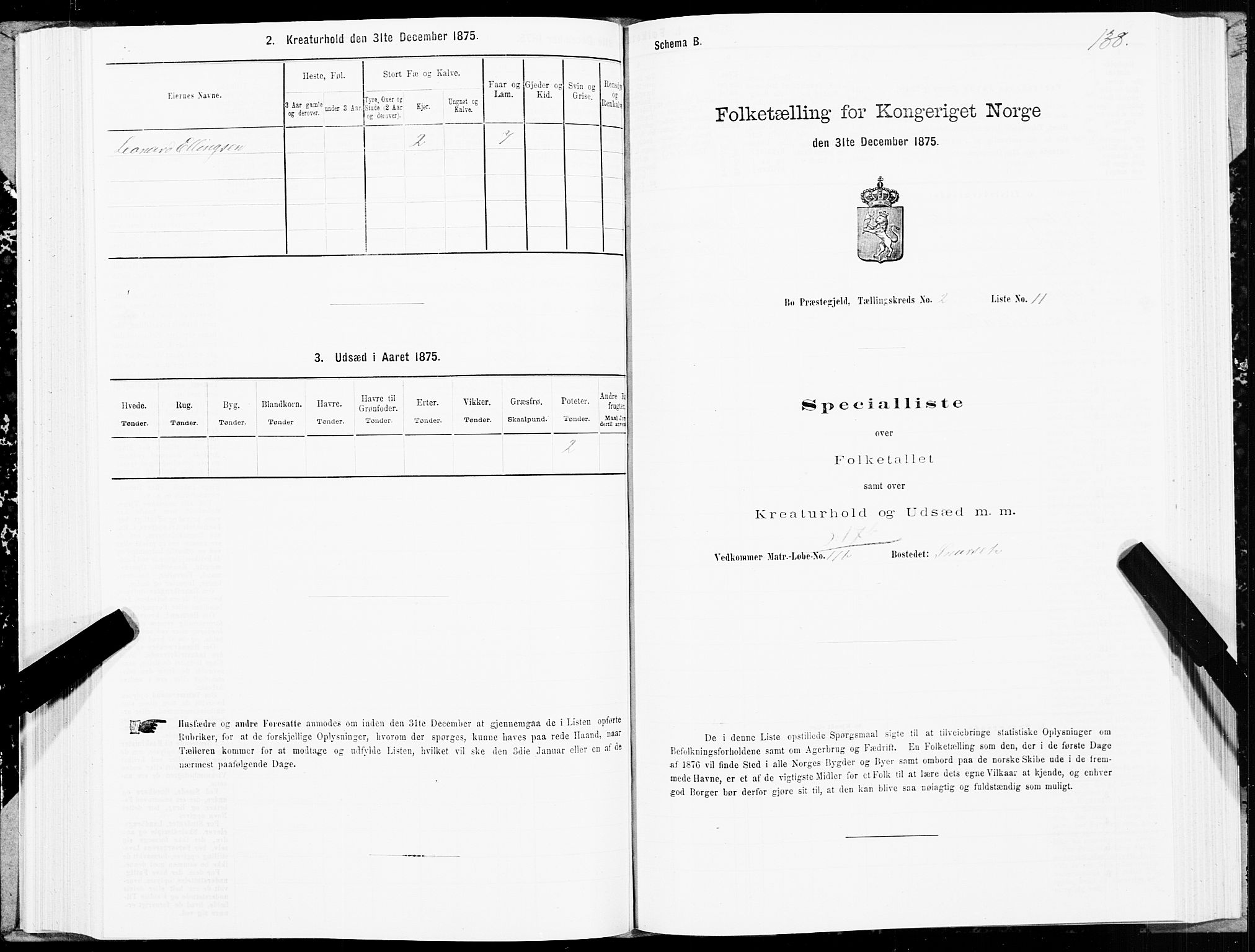 SAT, Folketelling 1875 for 1867P Bø prestegjeld, 1875, s. 1138