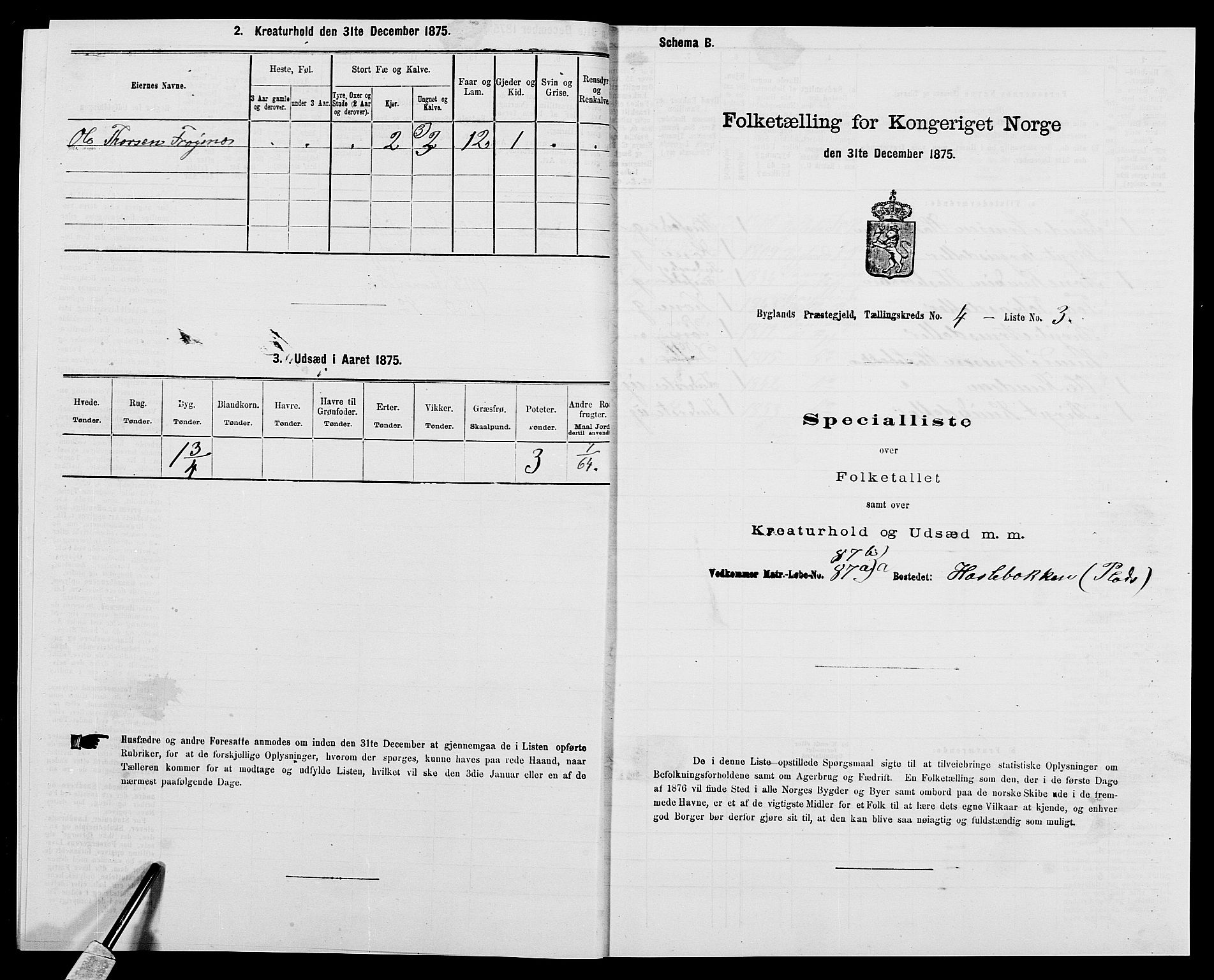 SAK, Folketelling 1875 for 0938P Bygland prestegjeld, 1875, s. 323