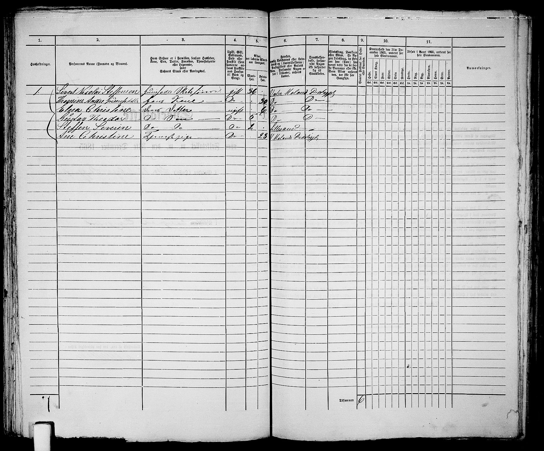 RA, Folketelling 1865 for 0905B Vestre Moland prestegjeld, Lillesand ladested, 1865, s. 171