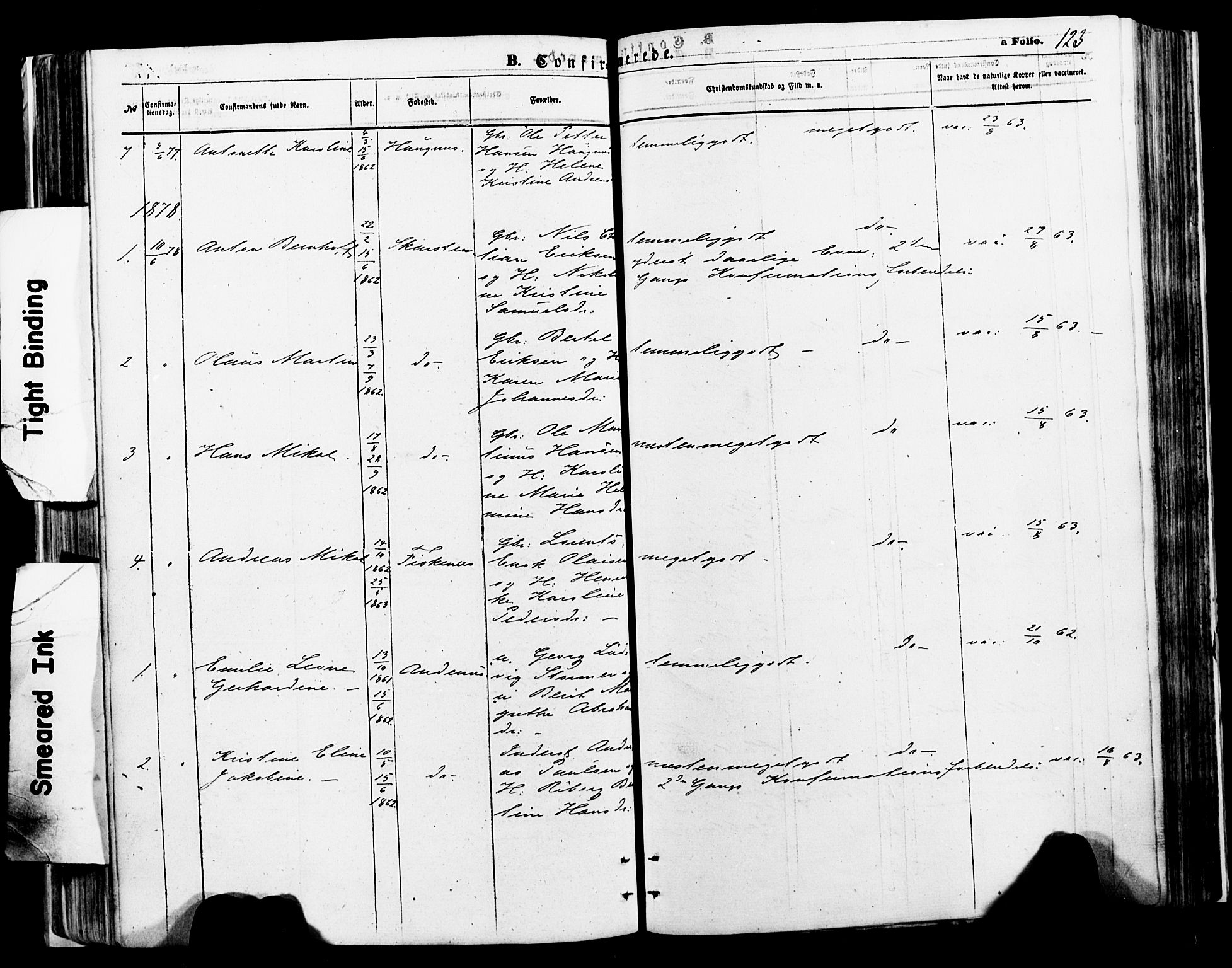Ministerialprotokoller, klokkerbøker og fødselsregistre - Nordland, SAT/A-1459/897/L1398: Ministerialbok nr. 897A05 /2, 1867-1880, s. 123