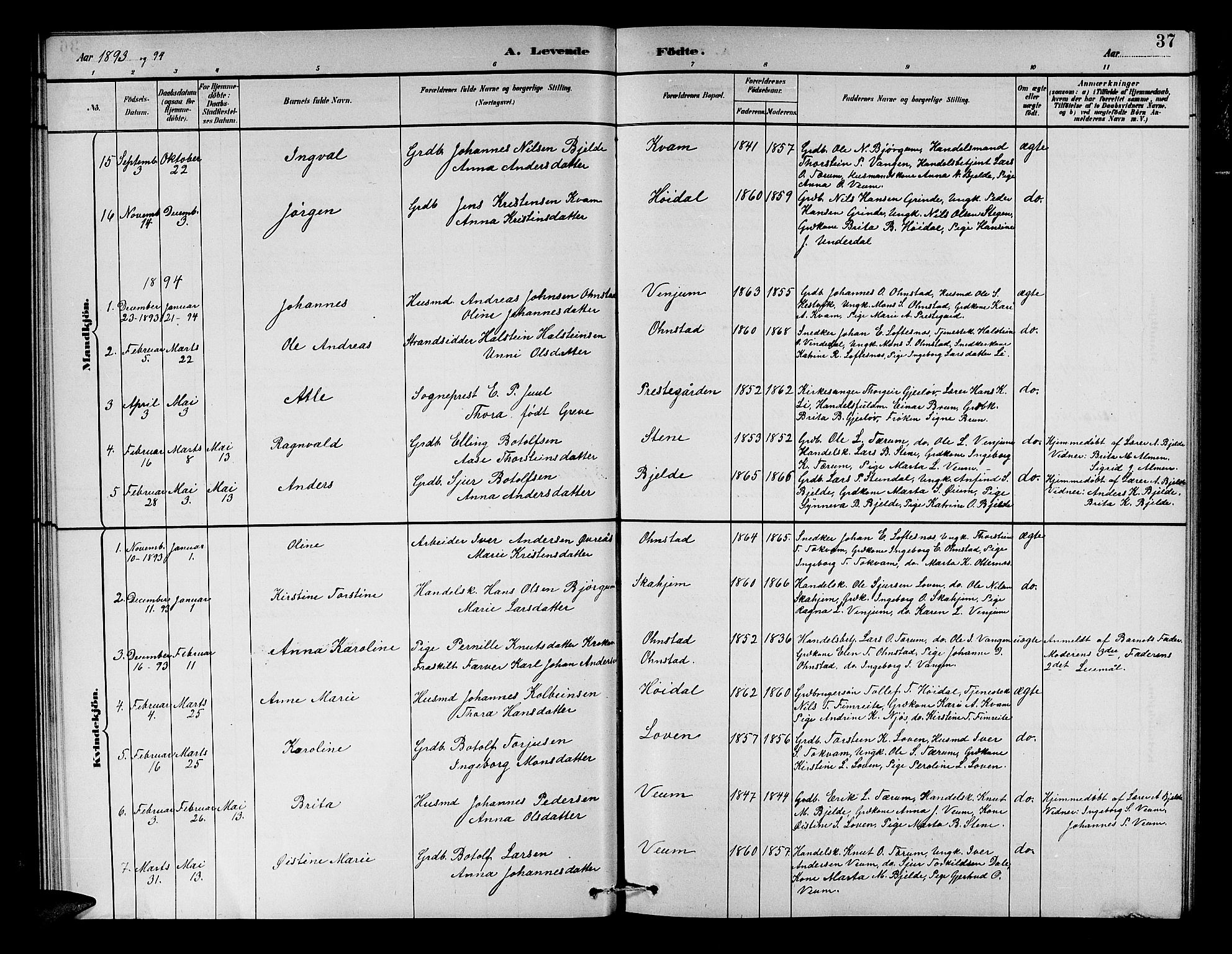 Aurland sokneprestembete, AV/SAB-A-99937/H/Hb/Hba/L0002: Klokkerbok nr. A 2, 1880-1895, s. 37