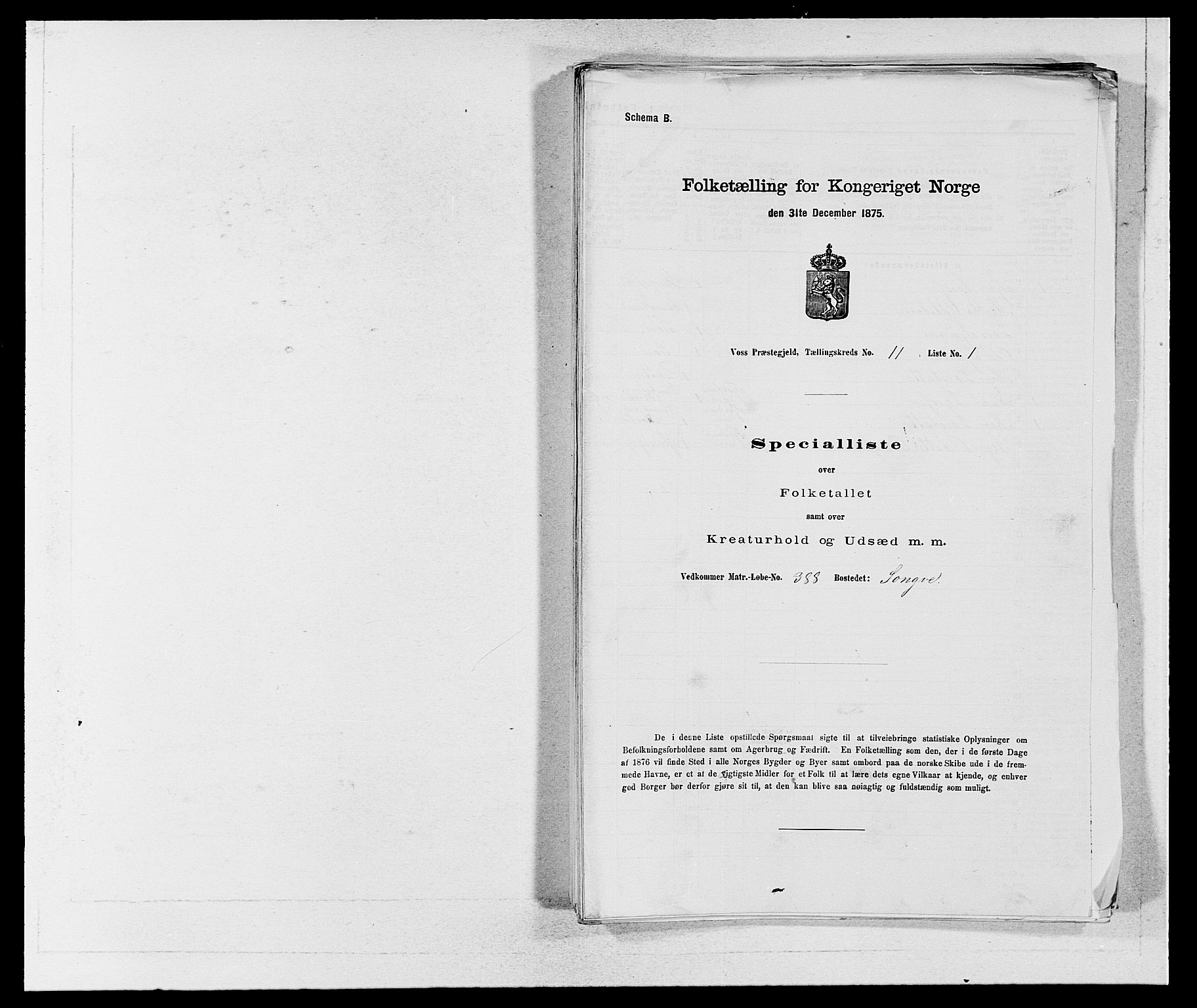 SAB, Folketelling 1875 for 1235P Voss prestegjeld, 1875, s. 1293