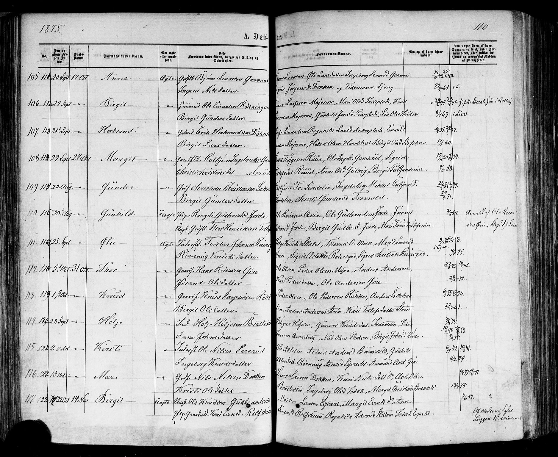 Nes kirkebøker, AV/SAKO-A-236/F/Fa/L0010: Ministerialbok nr. 10, 1864-1880, s. 110