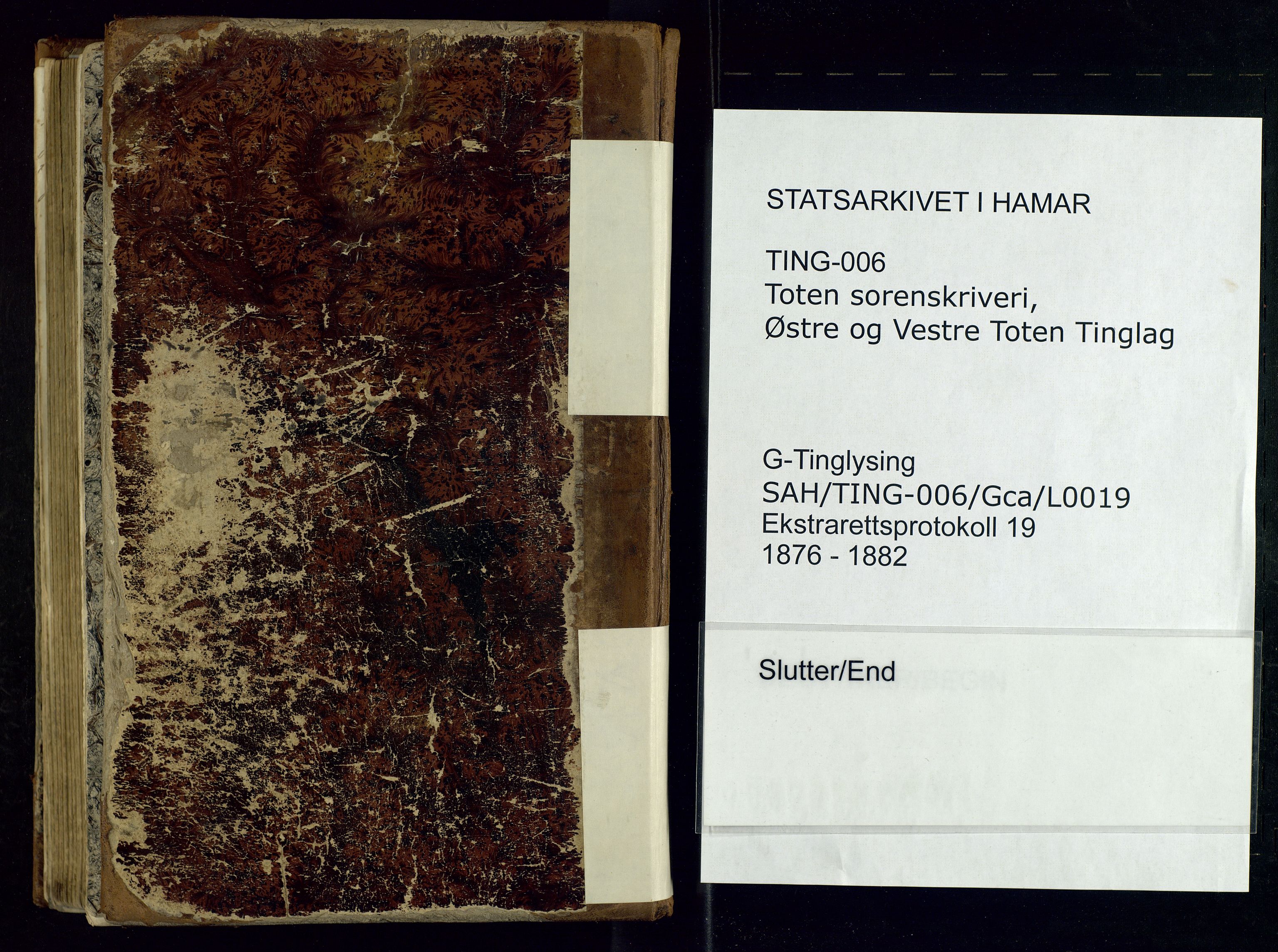 Toten tingrett, AV/SAH-TING-006/G/Gc/Gca/L0019: Ekstrarettsprotokoll - Østre og Vestre Toten, 1876-1882