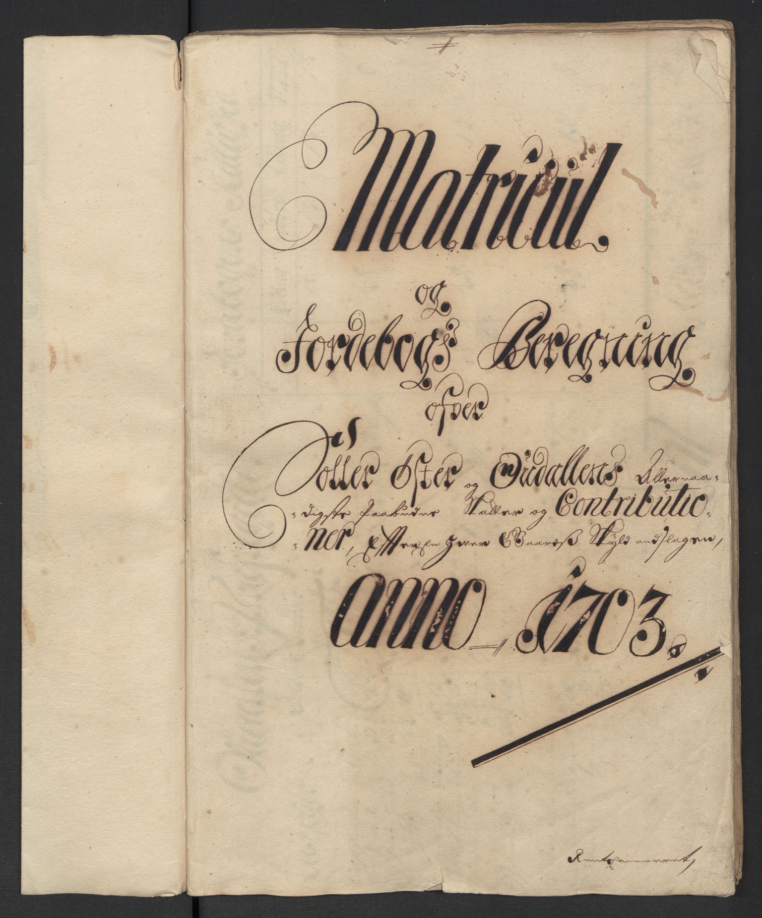 Rentekammeret inntil 1814, Reviderte regnskaper, Fogderegnskap, AV/RA-EA-4092/R13/L0841: Fogderegnskap Solør, Odal og Østerdal, 1703, s. 103
