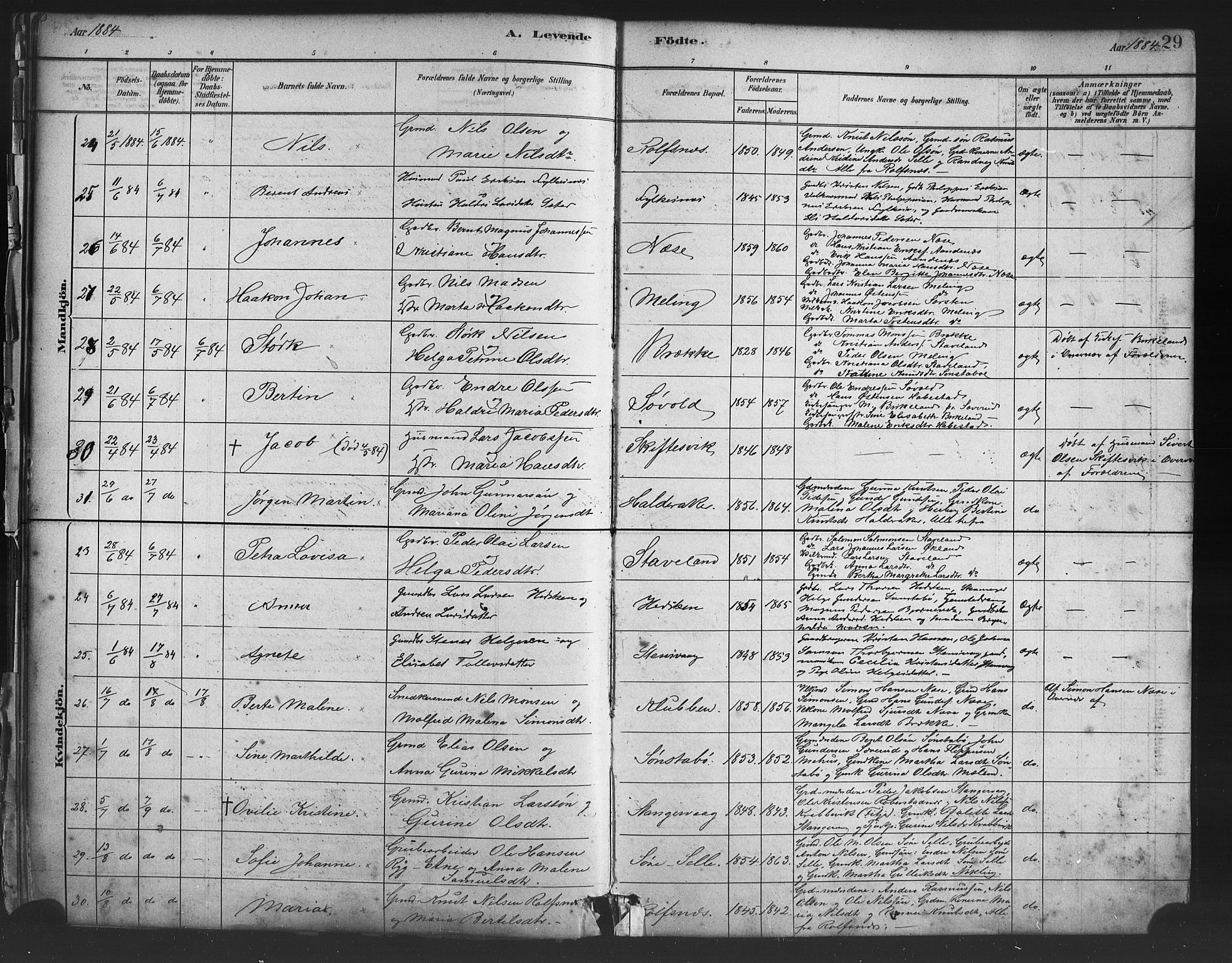 Finnås sokneprestembete, AV/SAB-A-99925/H/Ha/Haa/Haac/L0001: Ministerialbok nr. C 1, 1881-1894, s. 29