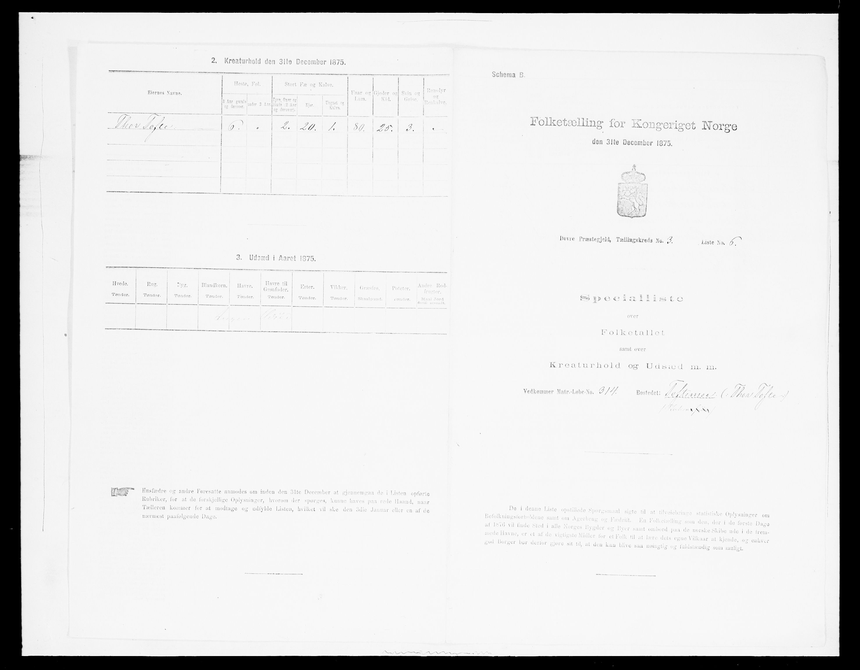 SAH, Folketelling 1875 for 0511P Dovre prestegjeld, 1875, s. 468