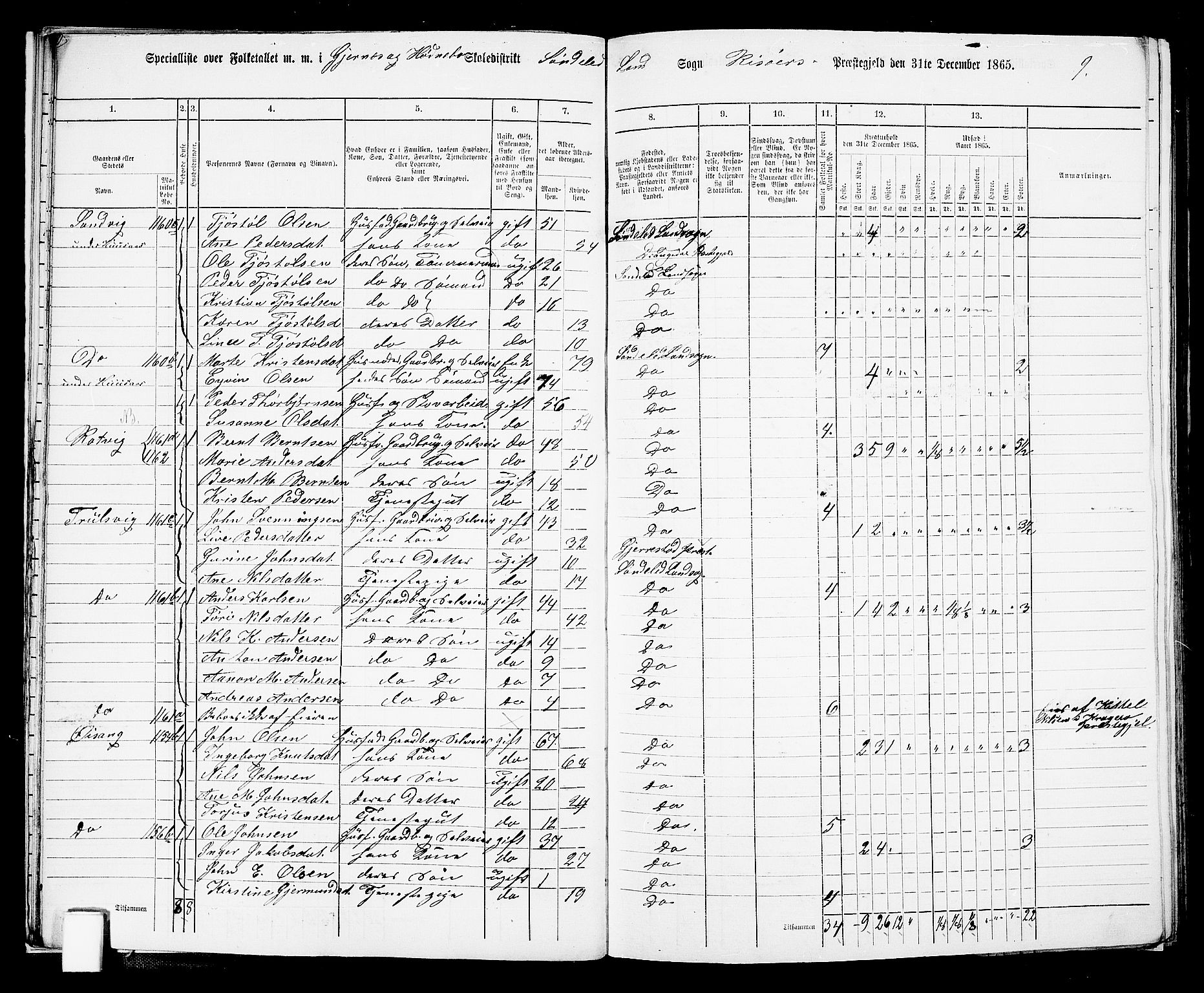 RA, Folketelling 1865 for 0913L Risør prestegjeld, Søndeled sokn, 1865, s. 20