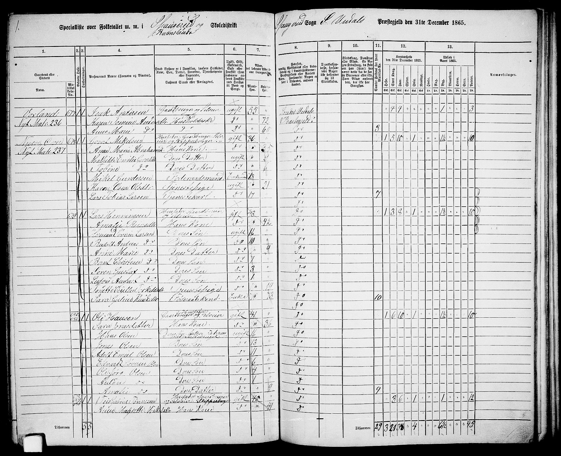 RA, Folketelling 1865 for 1029P Sør-Audnedal prestegjeld, 1865, s. 161