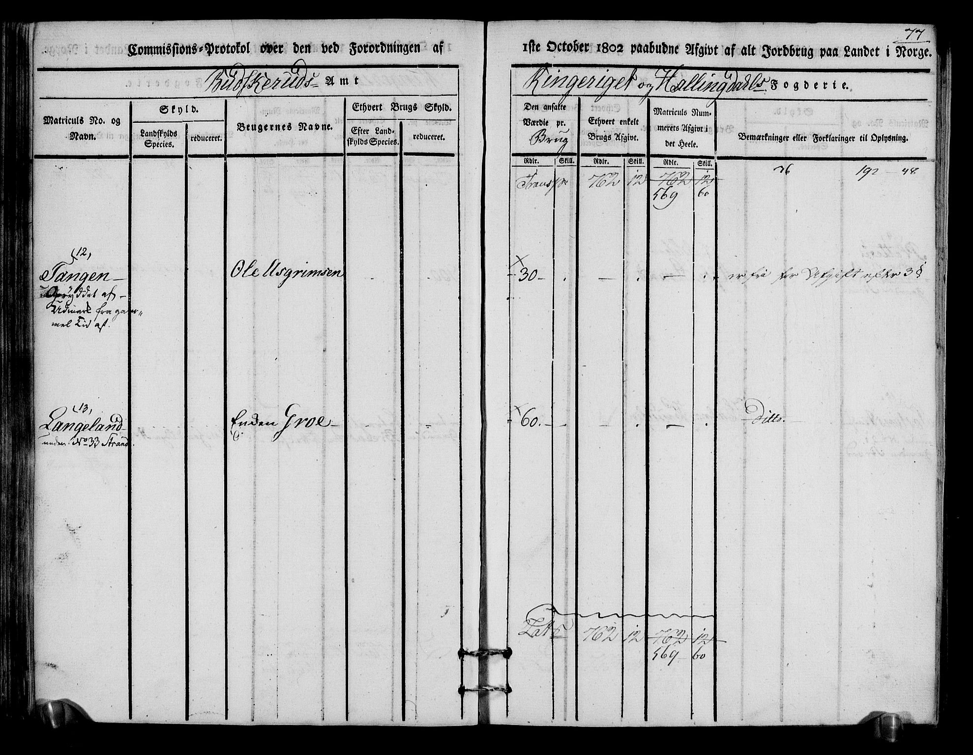 Rentekammeret inntil 1814, Realistisk ordnet avdeling, AV/RA-EA-4070/N/Ne/Nea/L0048: Ringerike og Hallingdal fogderi. Kommisjonsprotokoll for Ål prestegjeld, 1803, s. 81