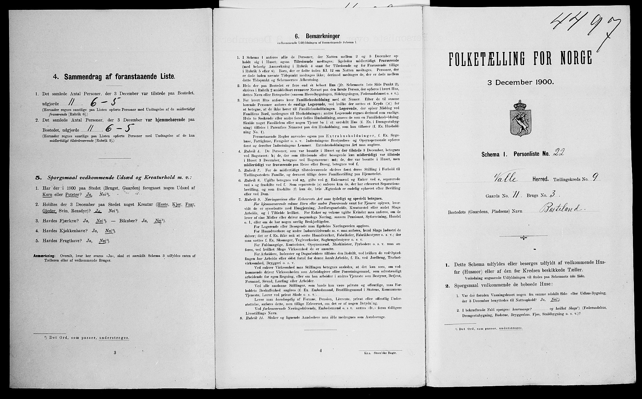 SAK, Folketelling 1900 for 0940 Valle herred, 1900, s. 810