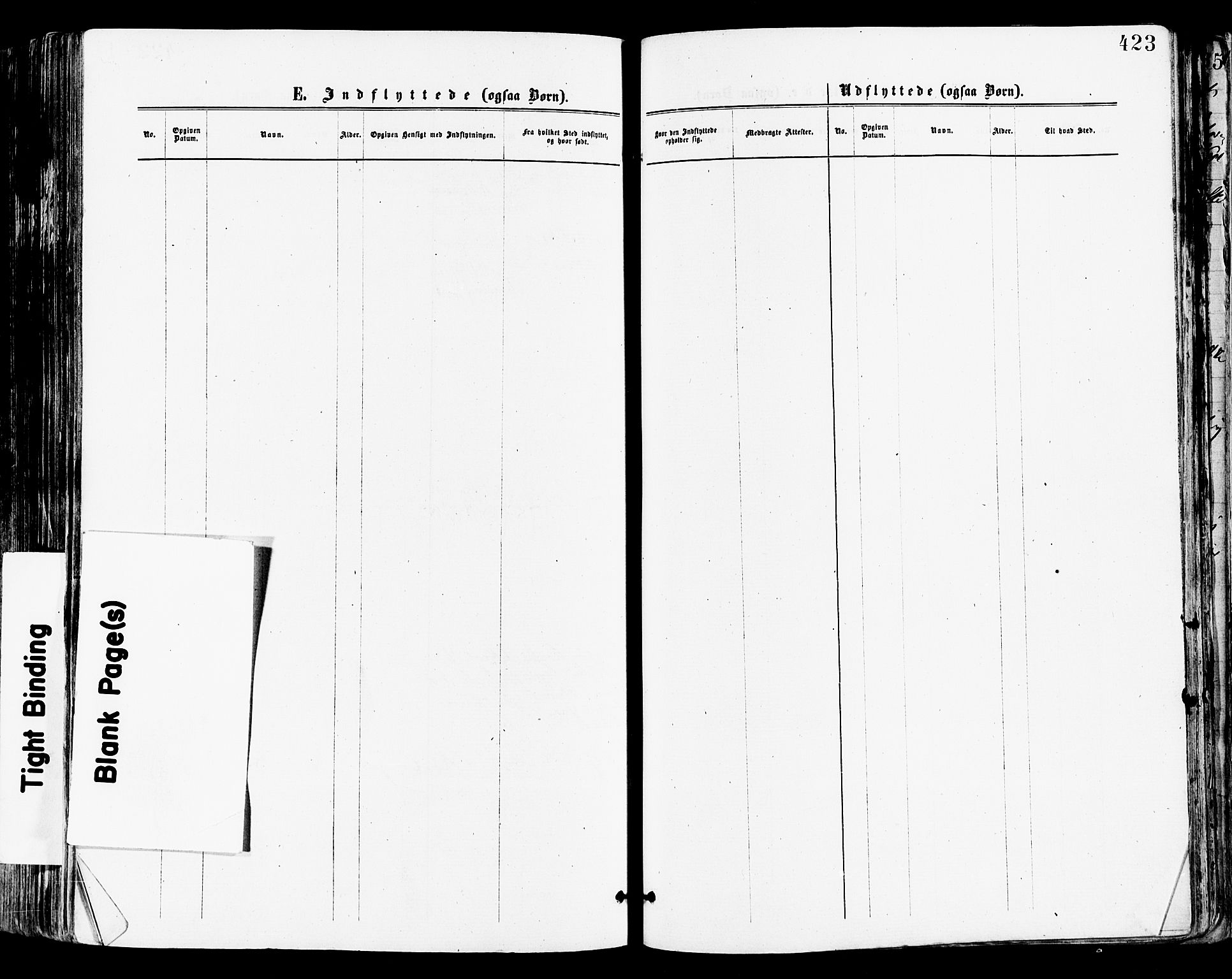 Tønsberg kirkebøker, SAKO/A-330/F/Fa/L0010: Ministerialbok nr. I 10, 1874-1880, s. 423
