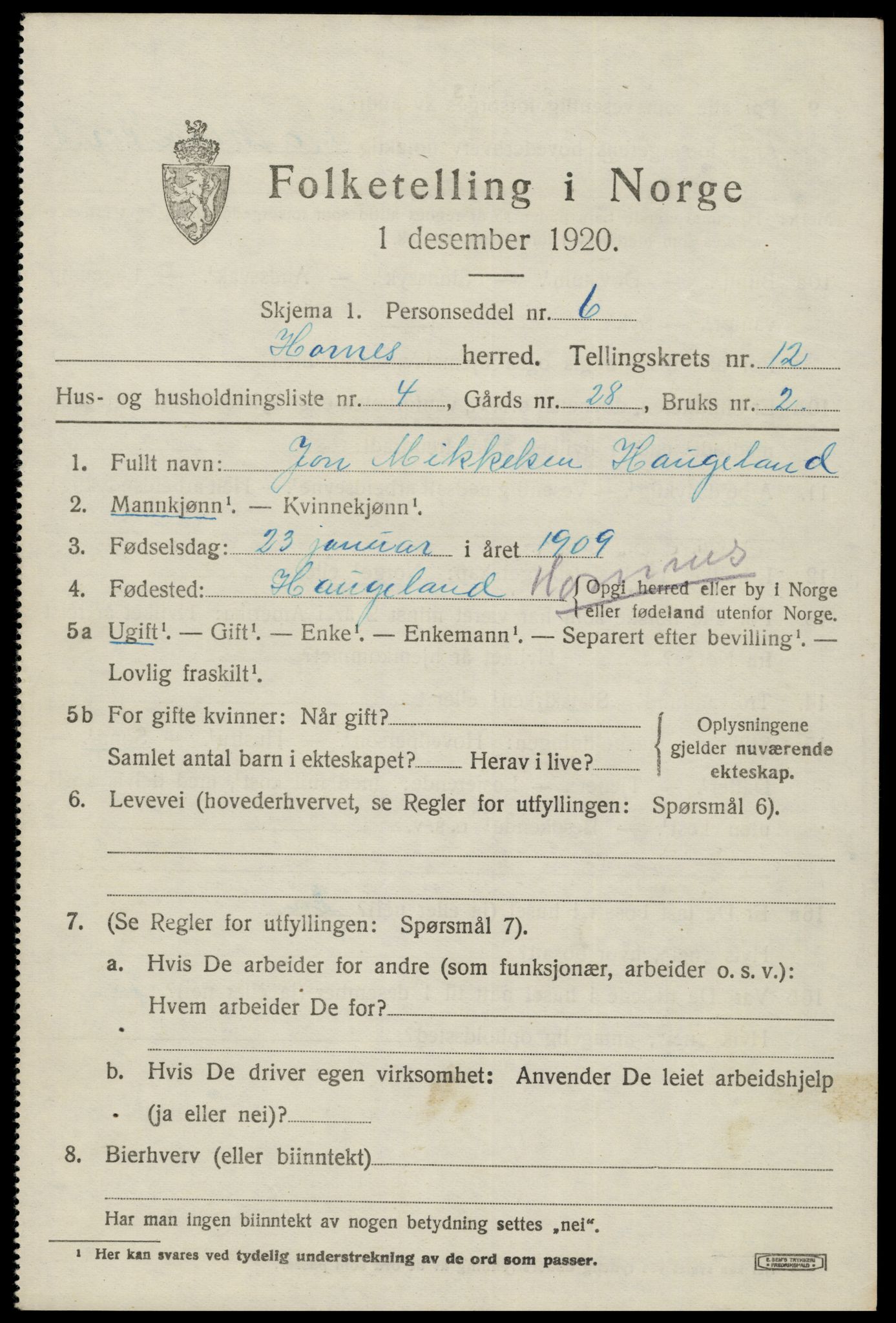 SAK, Folketelling 1920 for 0936 Hornnes herred, 1920, s. 2917