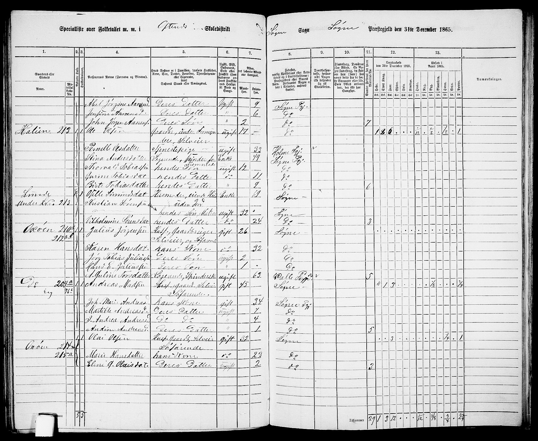 RA, Folketelling 1865 for 1018P Søgne prestegjeld, 1865, s. 91