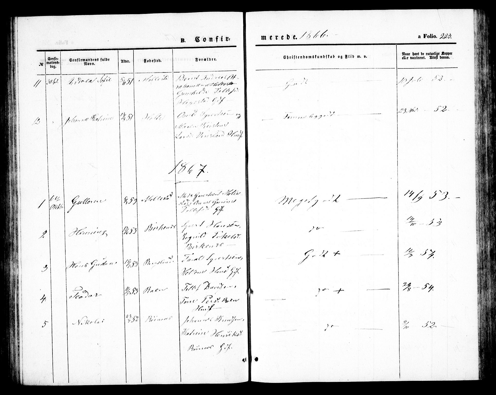 Birkenes sokneprestkontor, SAK/1111-0004/F/Fb/L0002: Klokkerbok nr. B 2, 1849-1876, s. 223