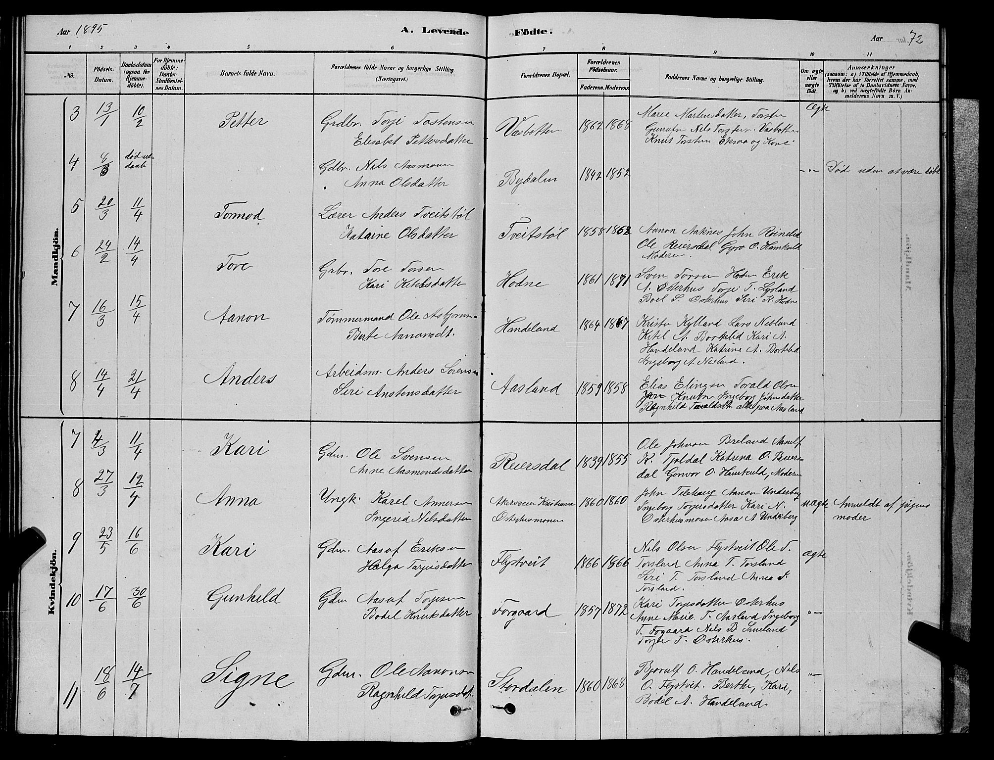 Åseral sokneprestkontor, AV/SAK-1111-0051/F/Fb/L0002: Klokkerbok nr. B 2, 1878-1899, s. 72