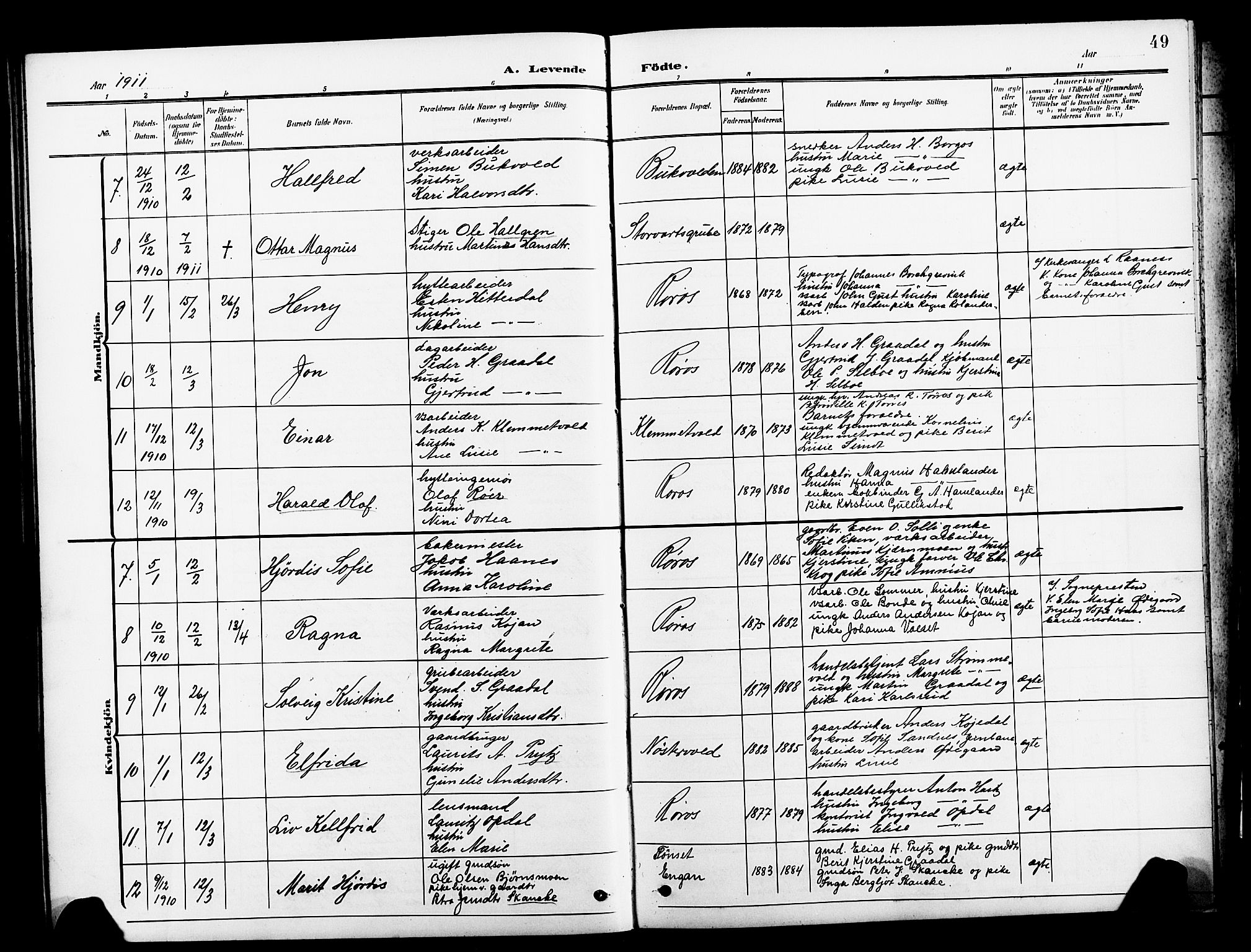 Ministerialprotokoller, klokkerbøker og fødselsregistre - Sør-Trøndelag, AV/SAT-A-1456/681/L0942: Klokkerbok nr. 681C06, 1906-1925, s. 49