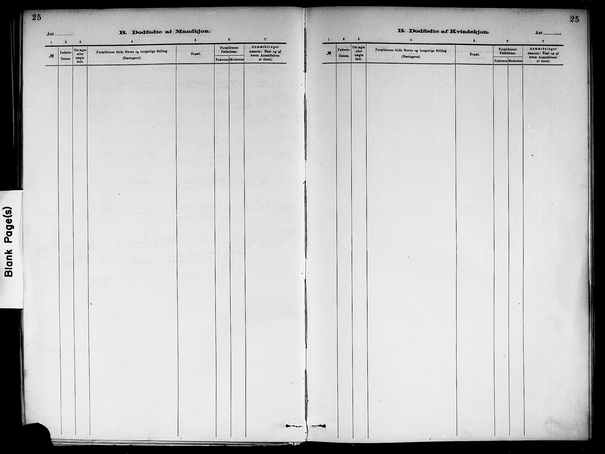 Ål kirkebøker, AV/SAKO-A-249/F/Fb/L0001: Ministerialbok nr. II 1, 1882-1899, s. 25